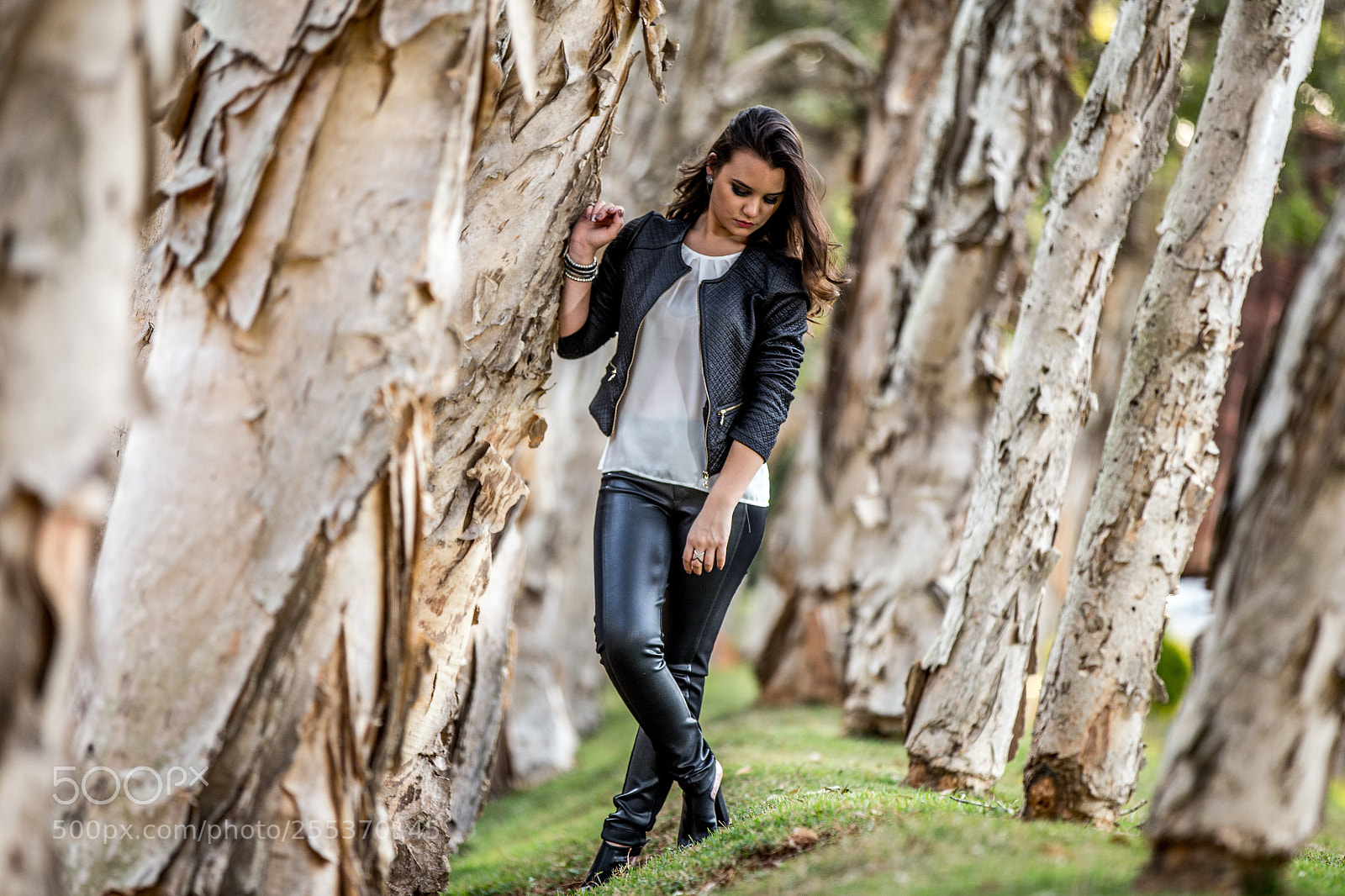 Canon EOS 6D sample photo. Fotos marcos grossi photography