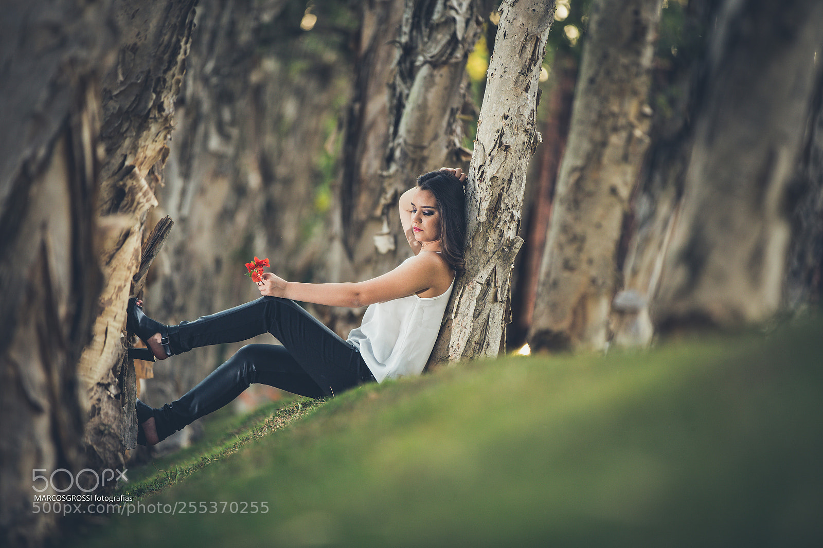 Canon EOS 6D sample photo. Fotos marcos grossi photography