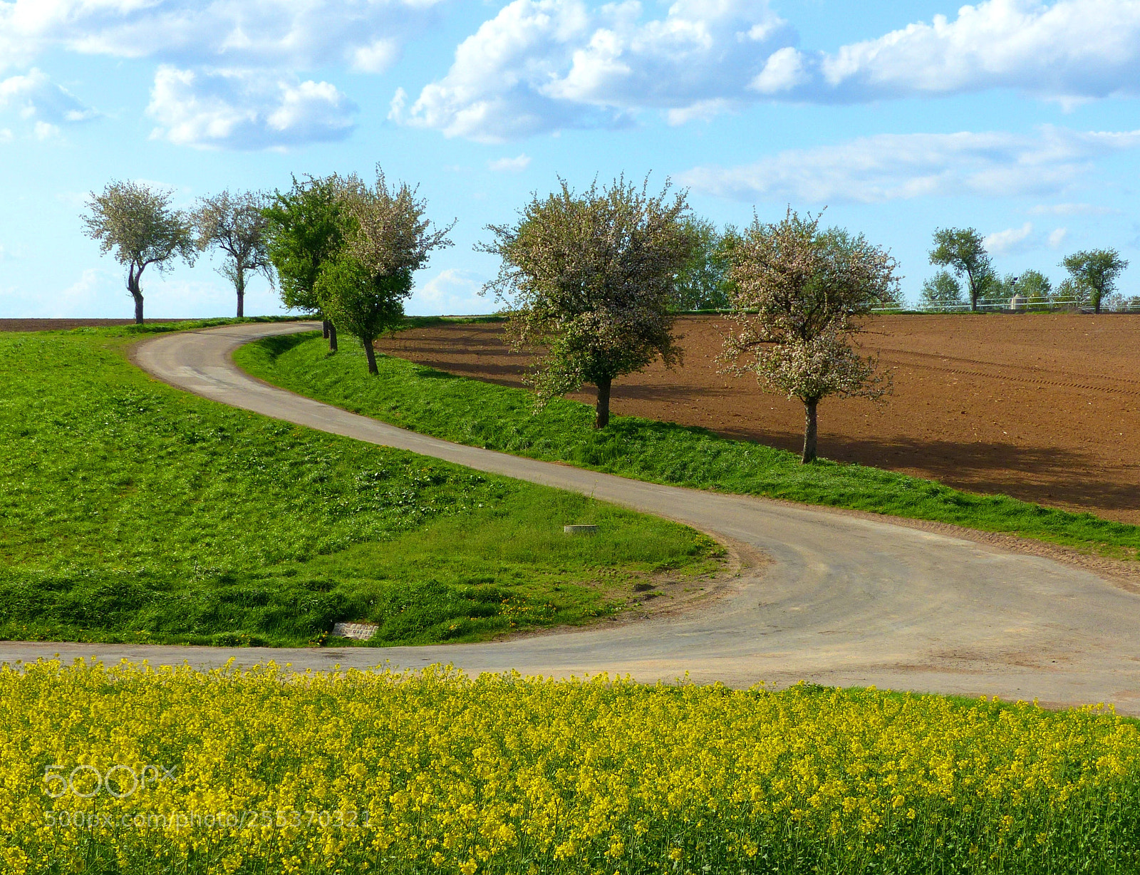 Panasonic Lumix DMC-FZ200 sample photo. Behind the village photography