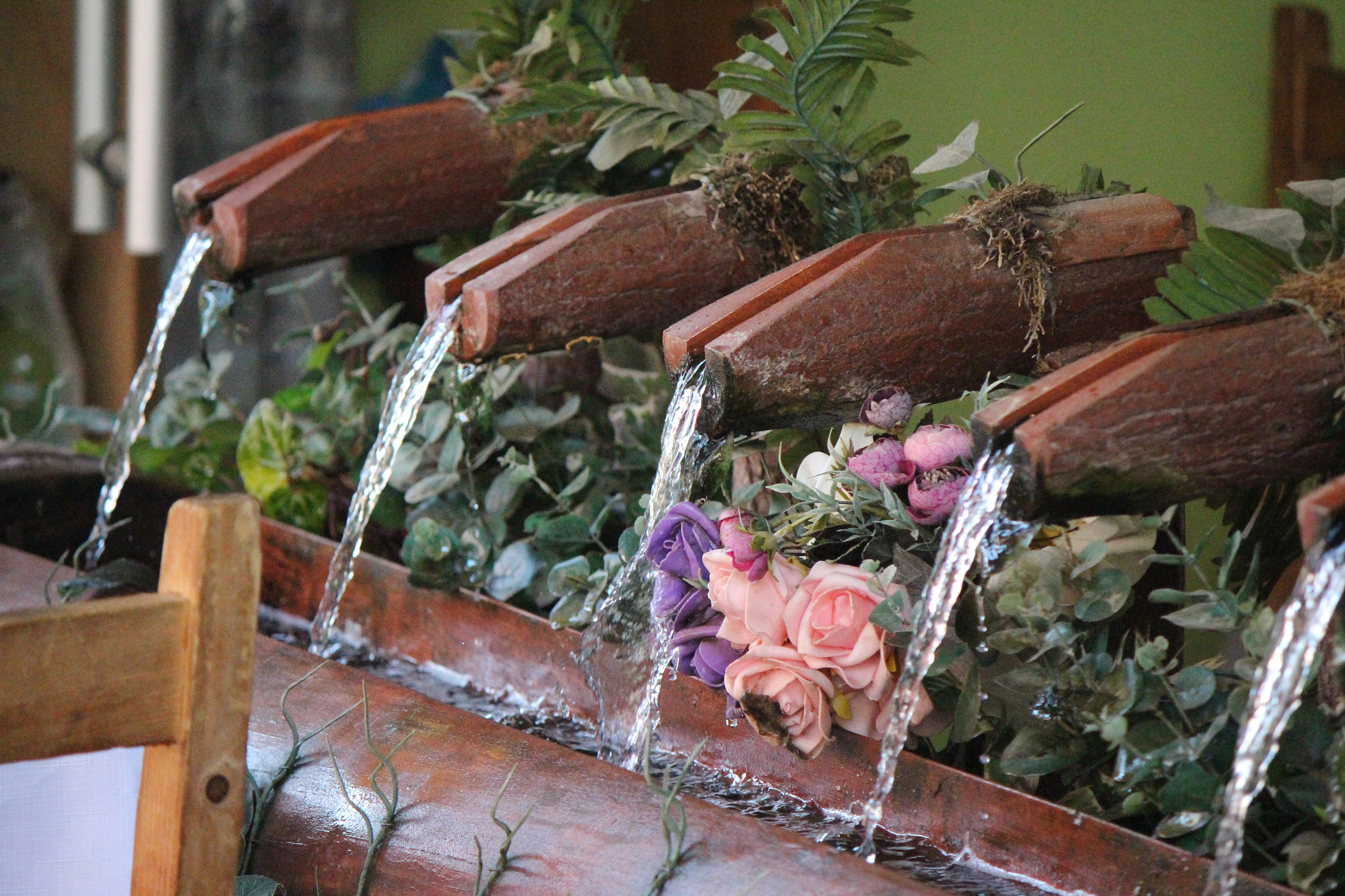 Canon EF-S 55-250mm F4-5.6 IS sample photo. Img photography