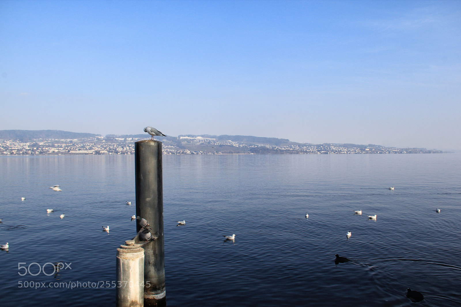Canon EOS 60D sample photo. The beauty of zurich photography