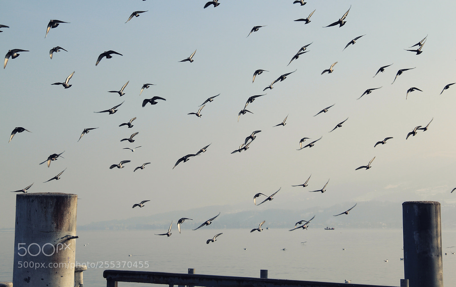 Canon EOS 60D sample photo. Capture the moment of photography