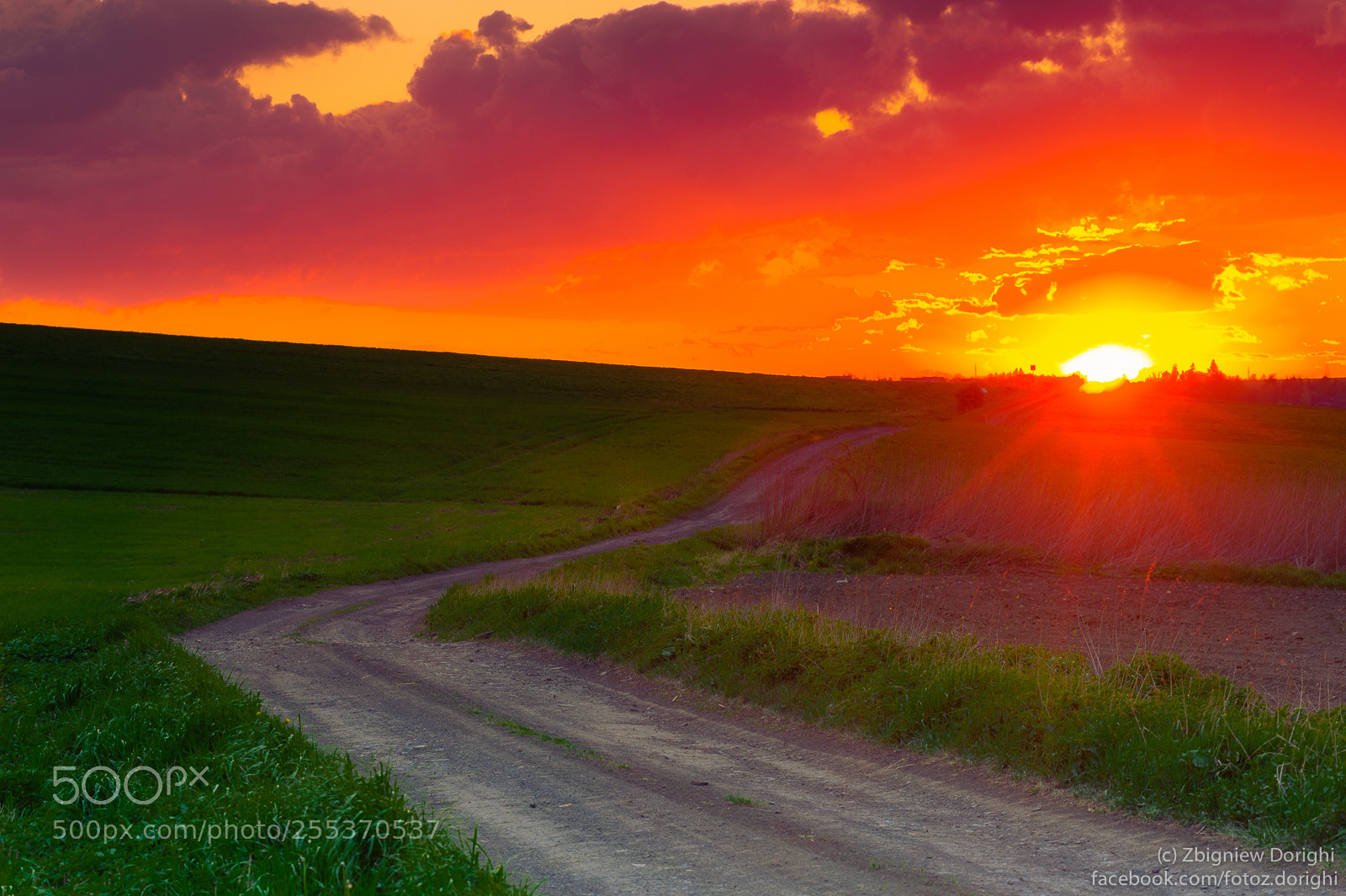 Nikon D700 sample photo. Sunset and the road photography