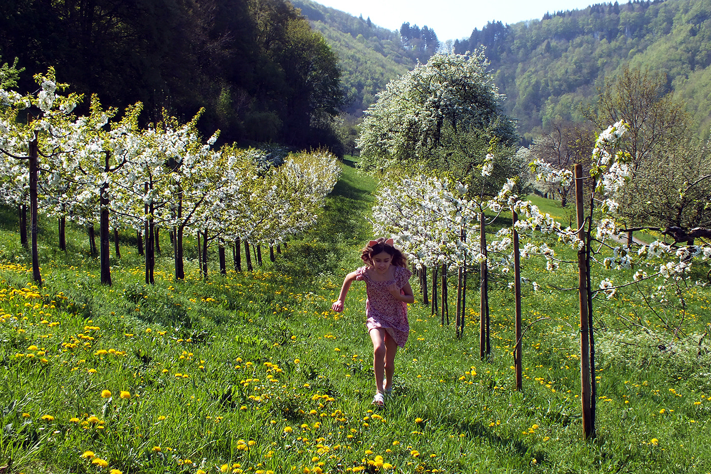 Fujifilm FinePix HS30EXR sample photo. ... fun in nature !!!! photography