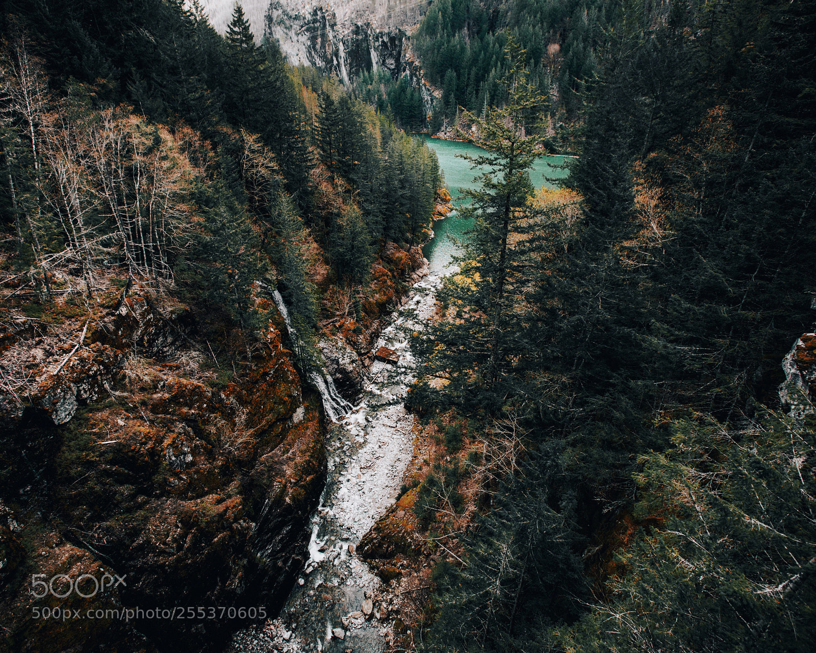 Canon EOS 5D Mark IV sample photo. The river  photography