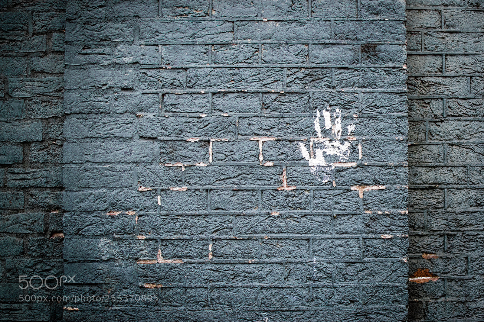 Nikon D3300 sample photo. White hand on wall photography