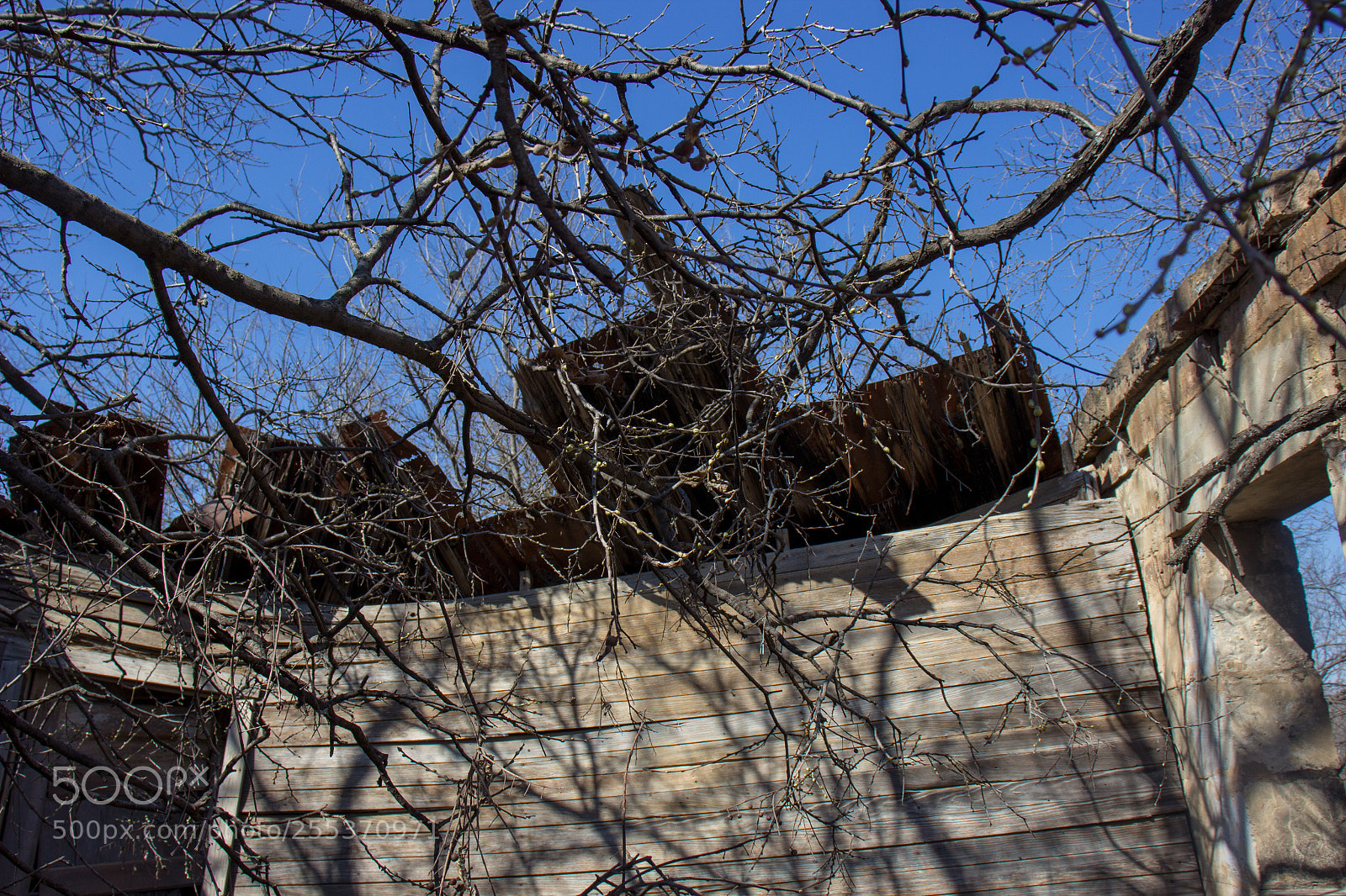 Canon EOS 600D (Rebel EOS T3i / EOS Kiss X5) sample photo. Img photography