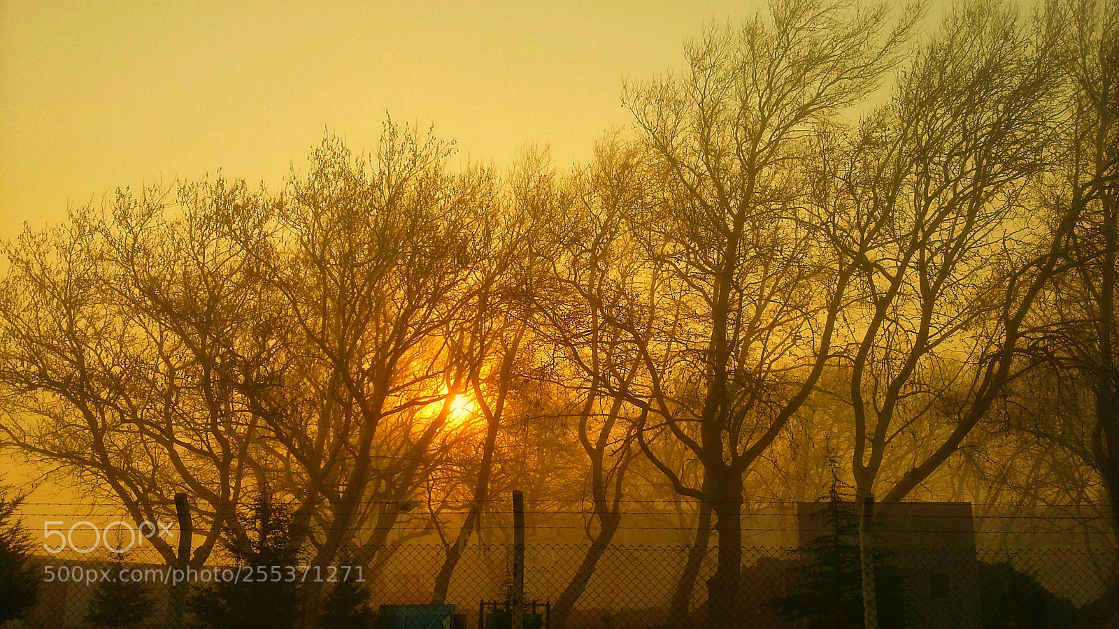 Samsung Galaxy Grand Prime sample photo. Early morning photography
