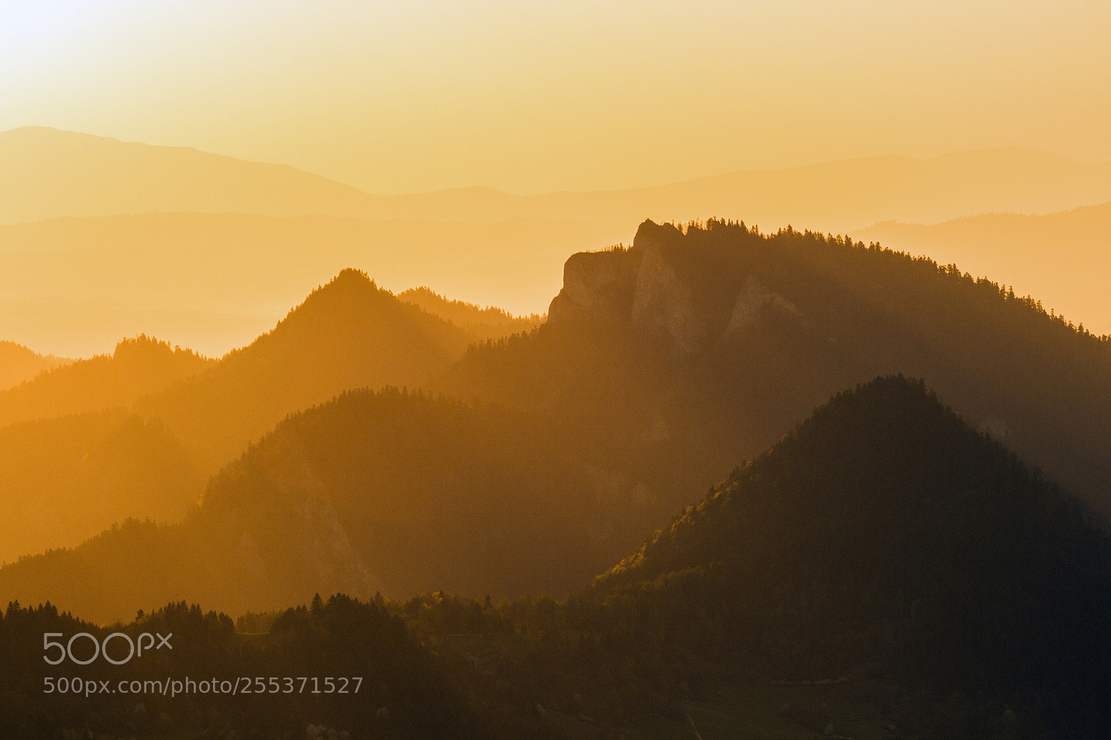 Canon EOS 700D (EOS Rebel T5i / EOS Kiss X7i) sample photo. Pieniny photography