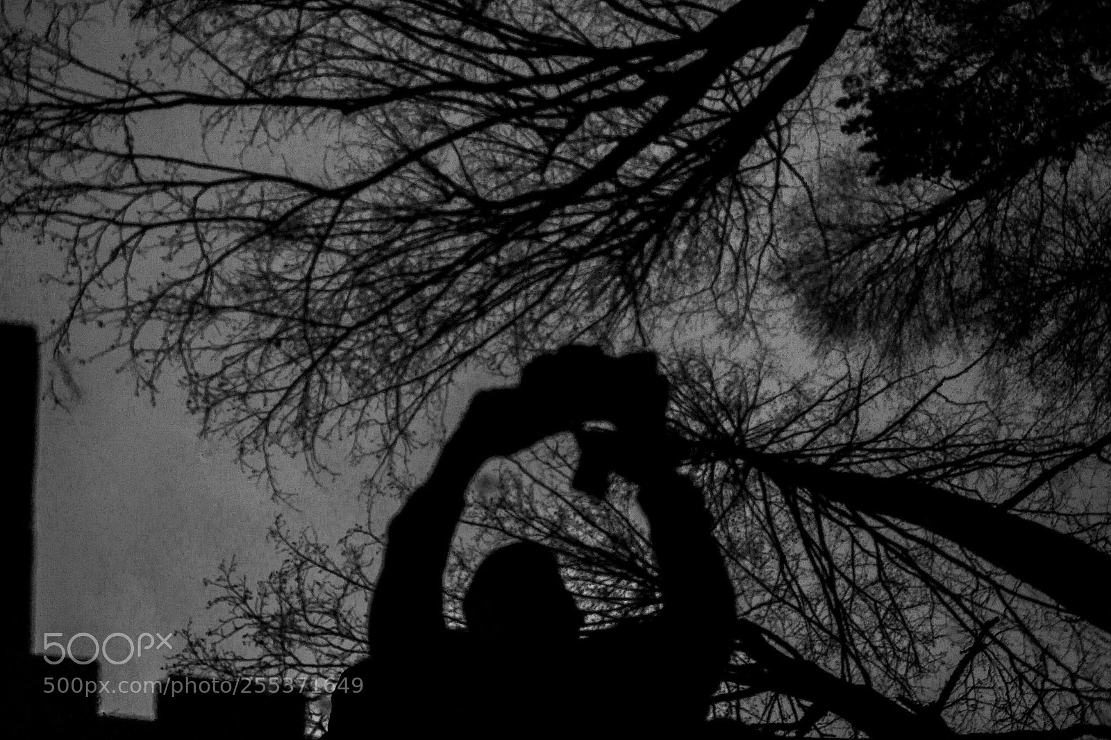 Canon EOS 500D (EOS Rebel T1i / EOS Kiss X3) sample photo. I's me) photography