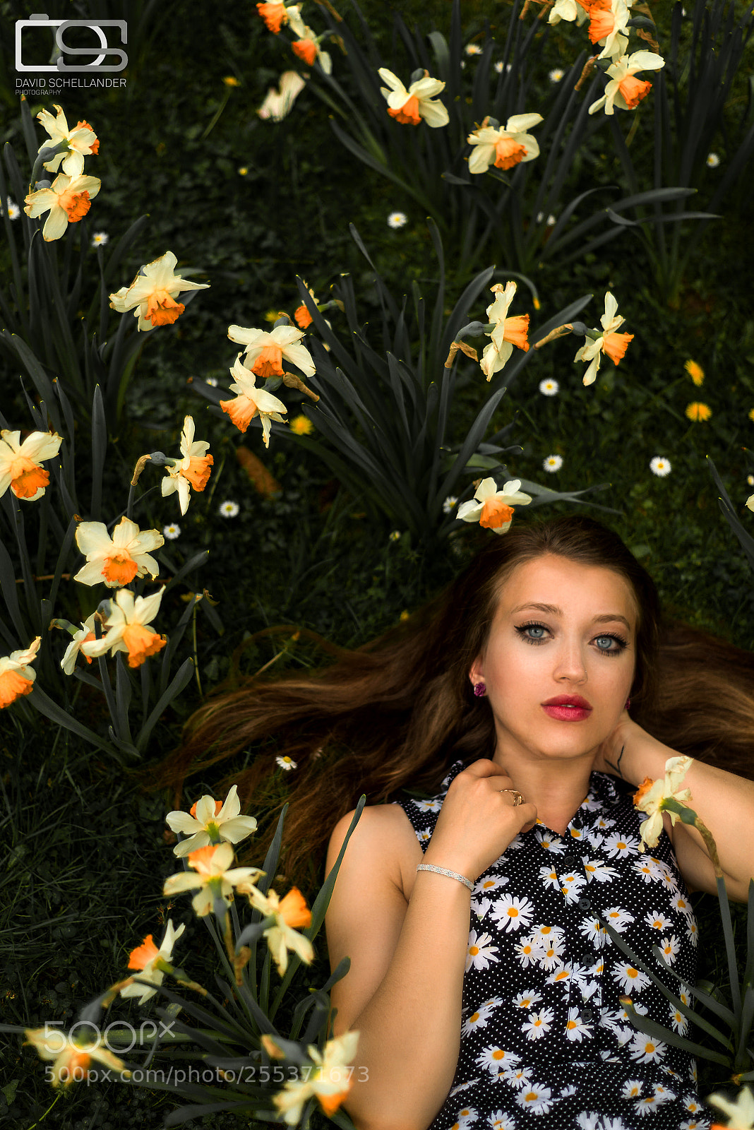 Nikon D800 sample photo. Miriam in daffodils flowers photography