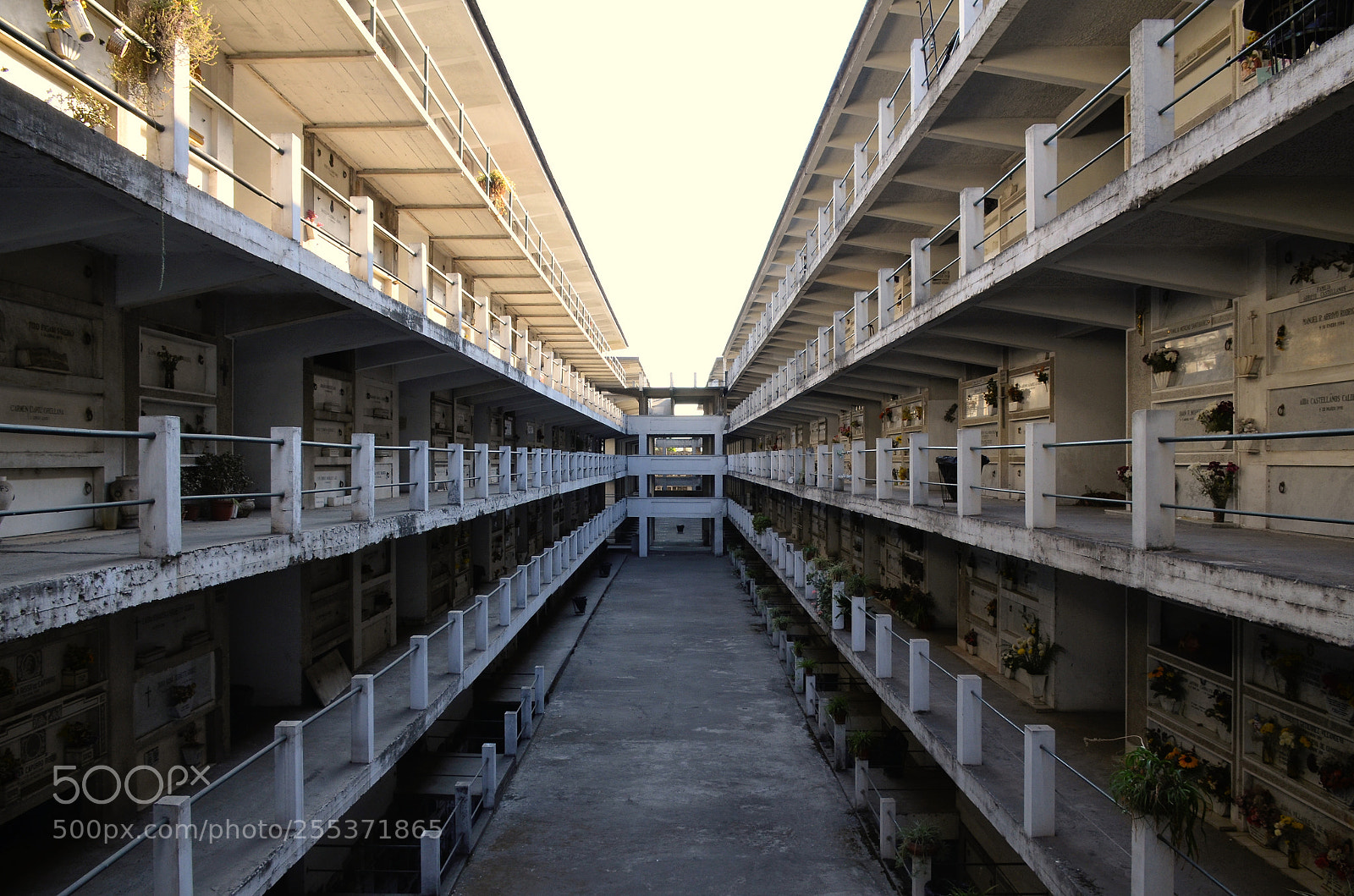 Nikon D7000 sample photo. Lines photography