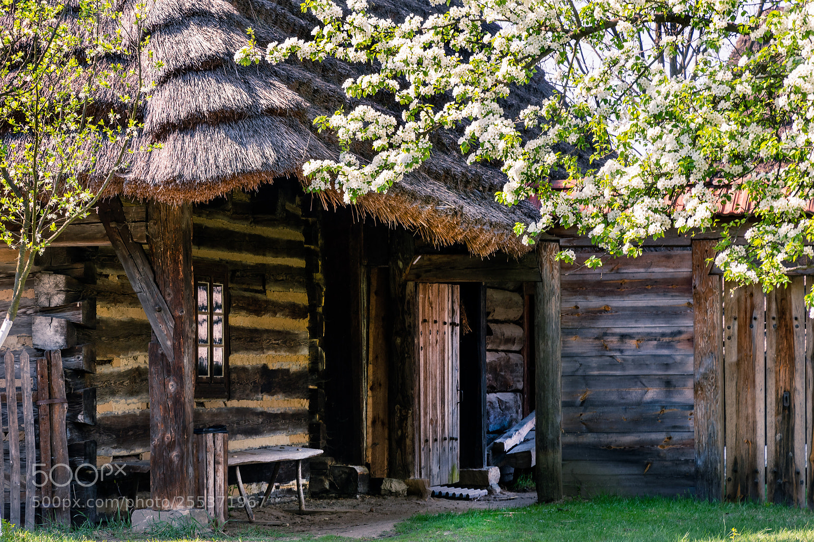 Nikon D500 sample photo. Old hut photography