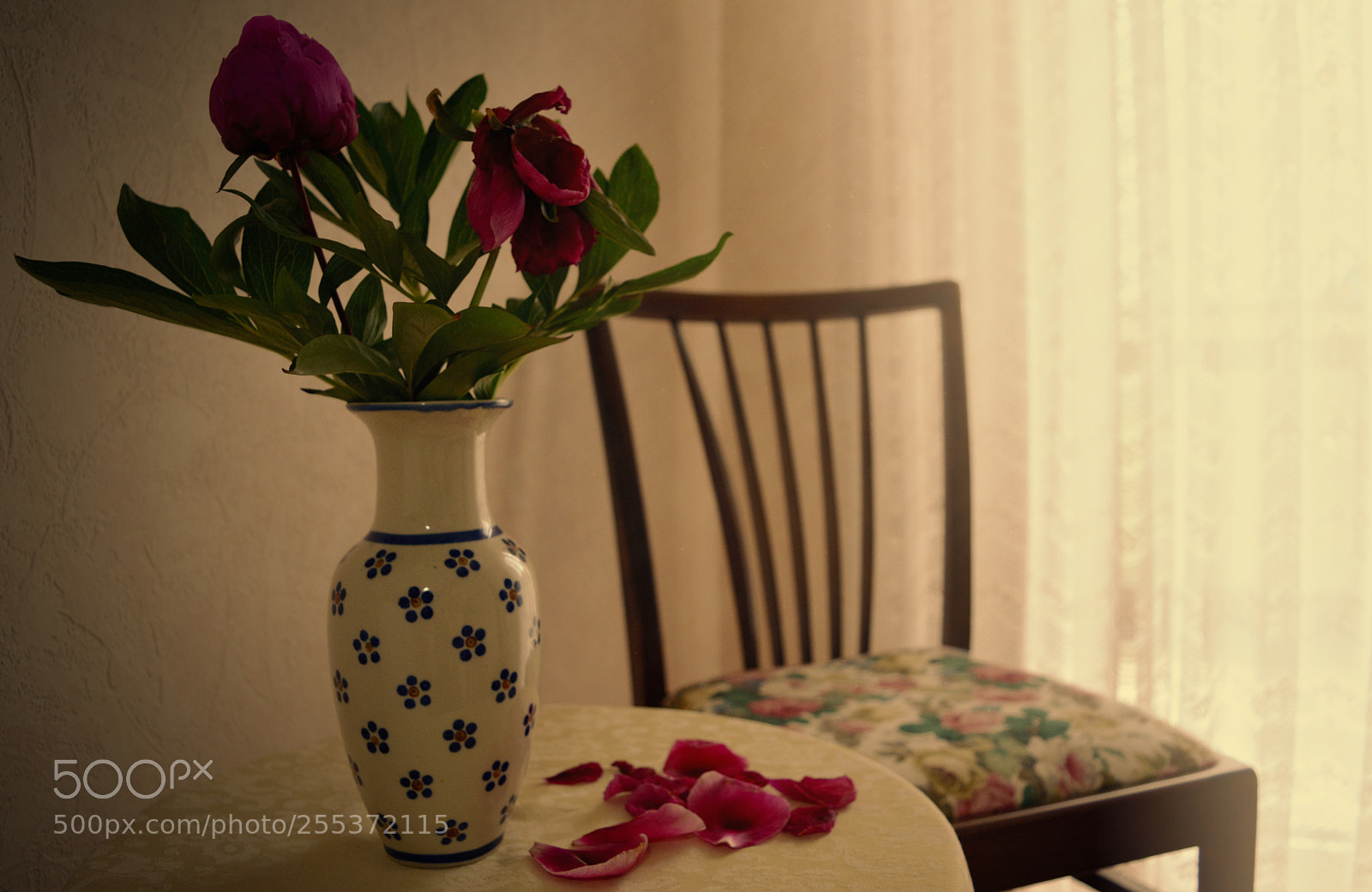 Nikon D5200 sample photo. Vase photography