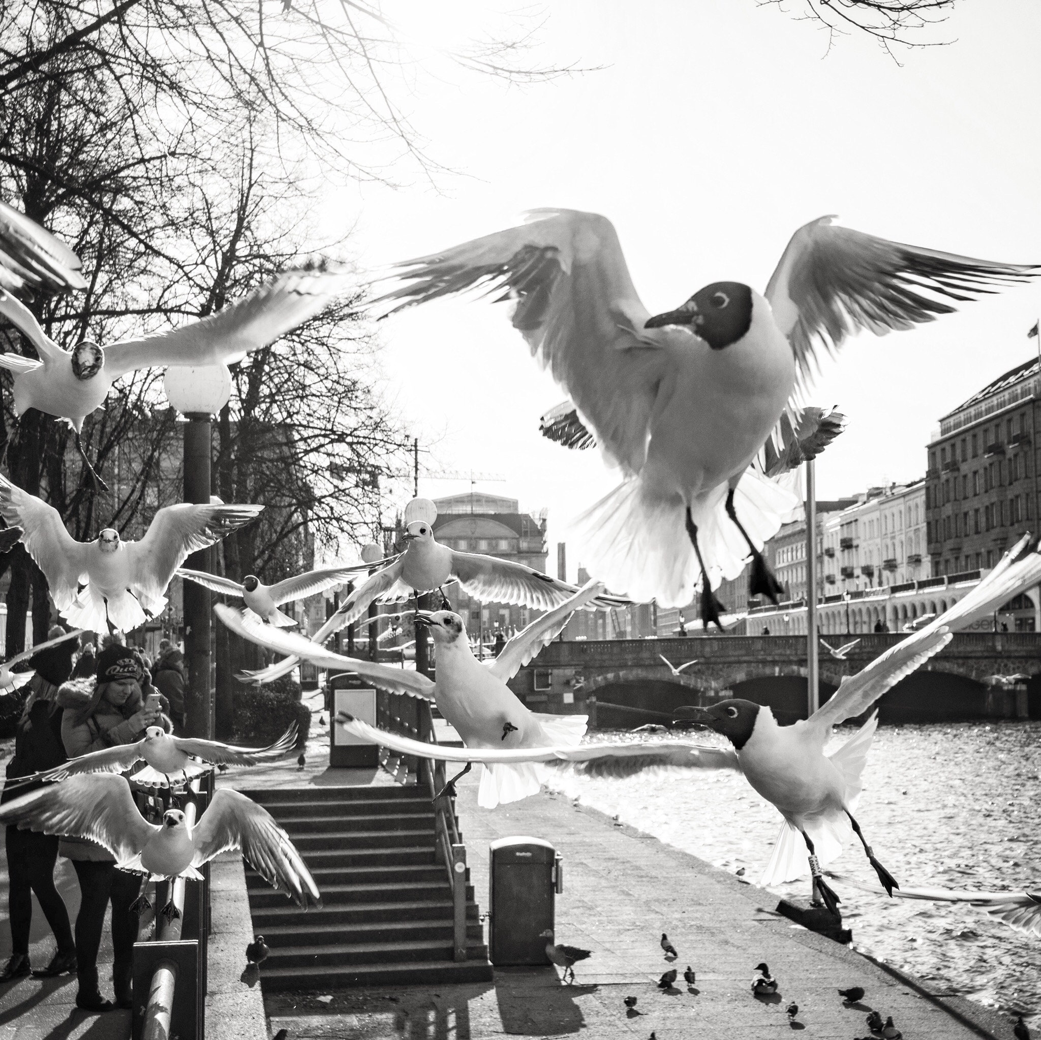 Leica CL sample photo. Flugschau photography