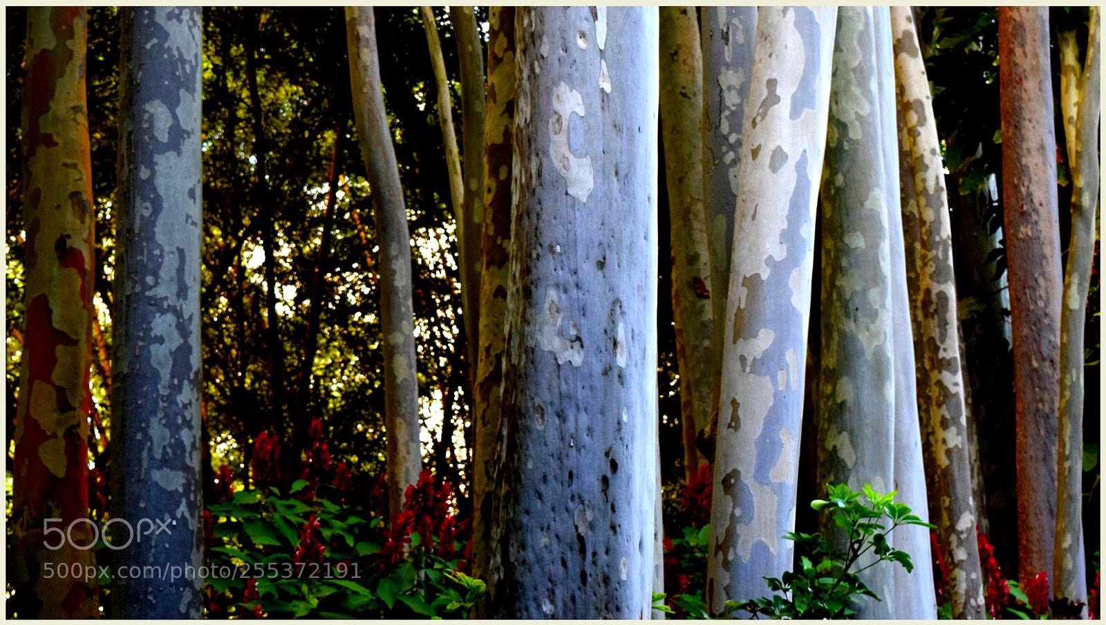 Nikon D5300 sample photo. Untitled photography