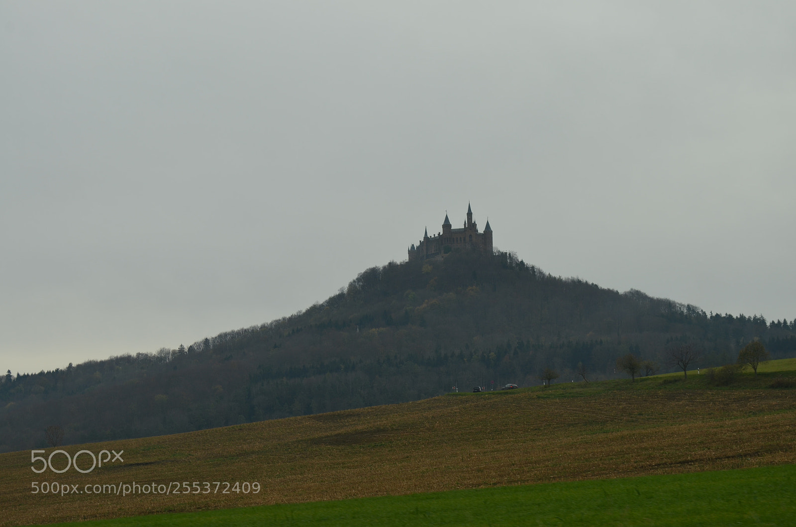 Nikon D5100 sample photo. Burg hohenzollern o photography