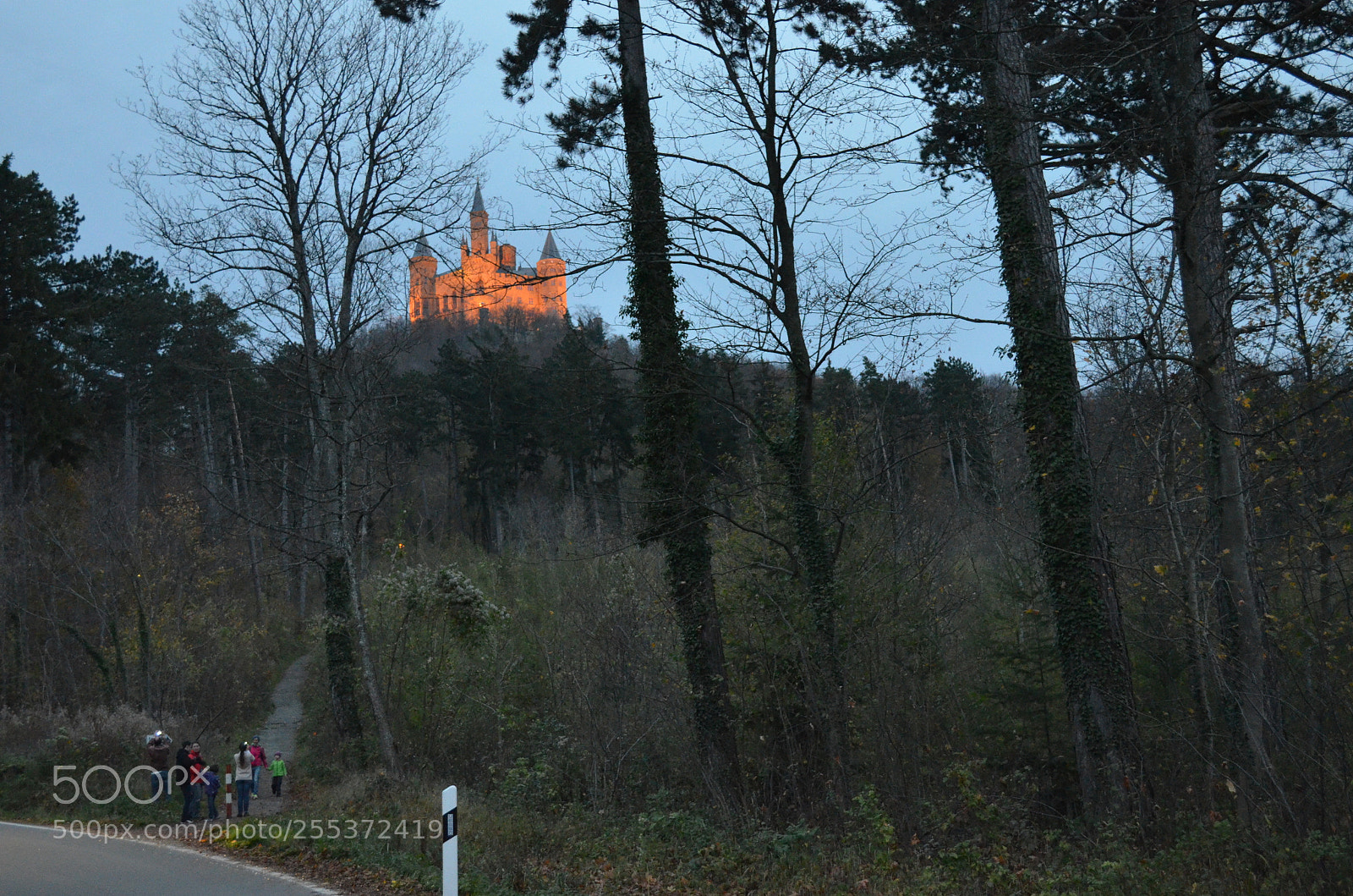 Nikon D5100 sample photo. Burg hohenzollern photography