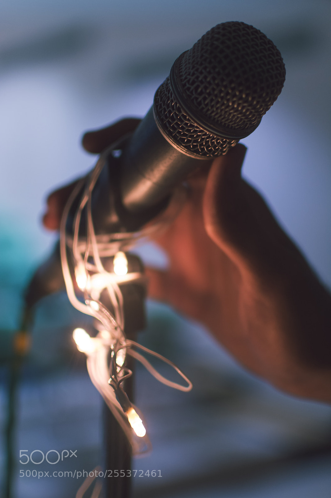 Nikon D7100 sample photo. Mic photography