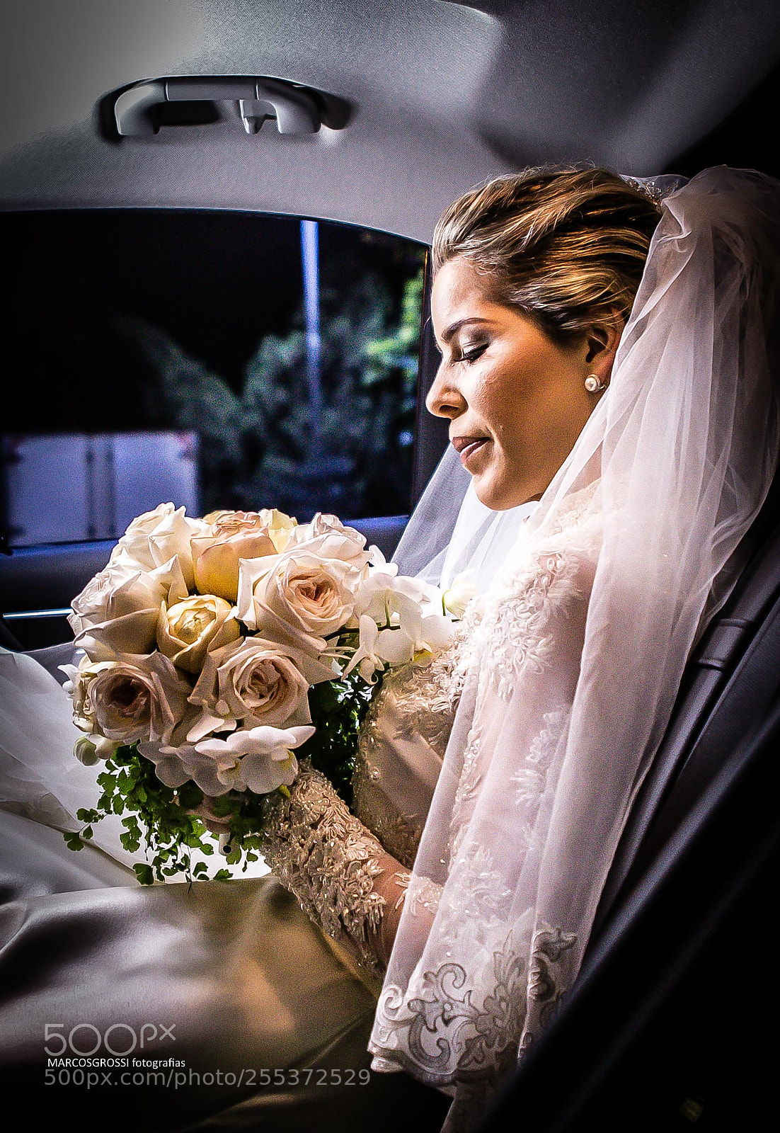Canon EOS 6D sample photo. Fotos marcos grossi photography