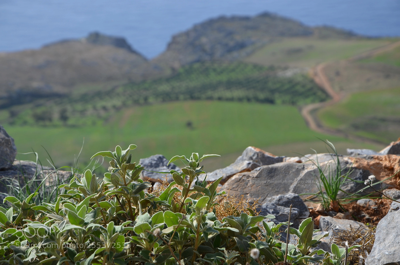 Nikon D5100 sample photo. Θεά από ψηλά.... photography