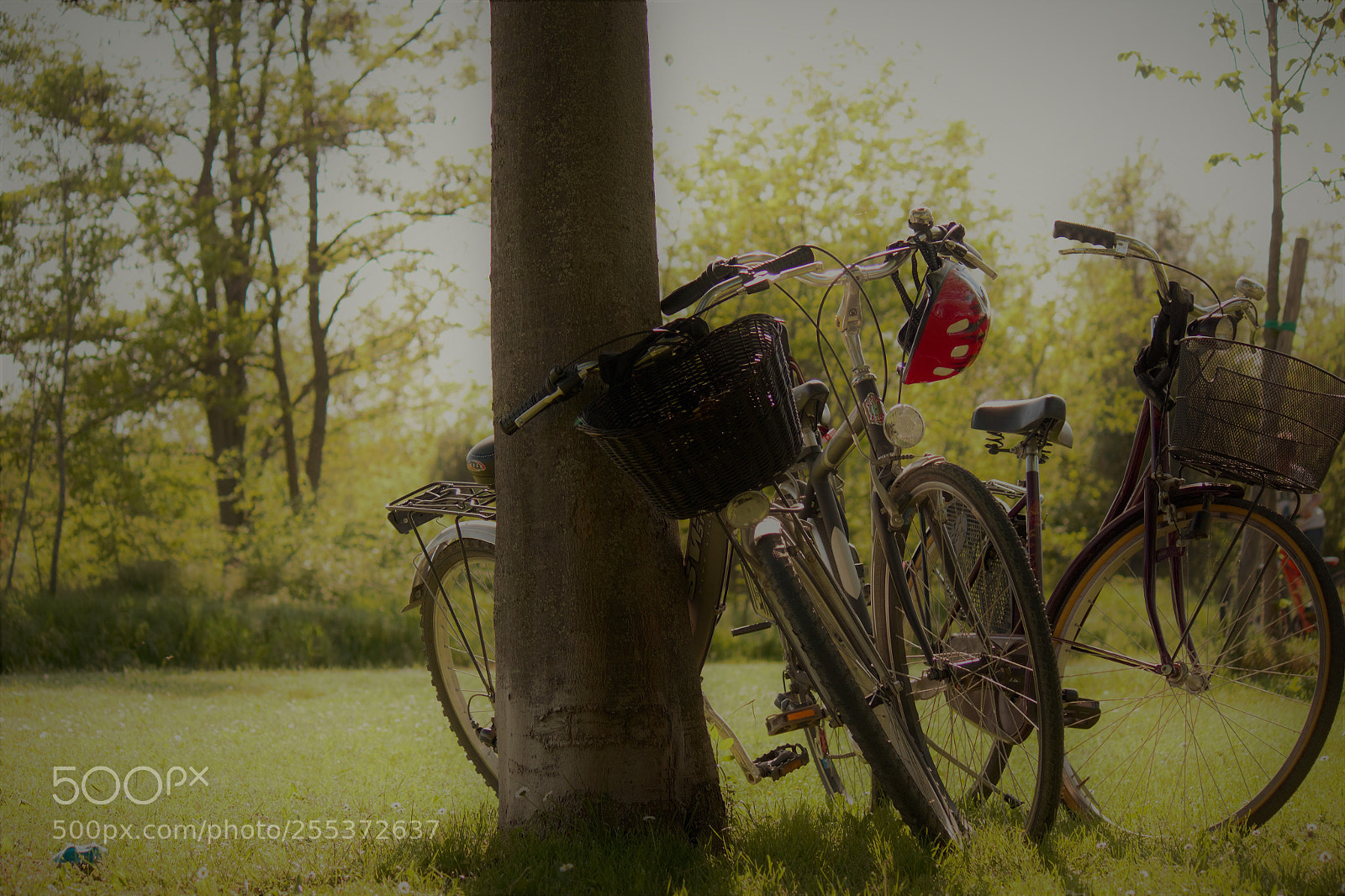 Canon EOS 600D (Rebel EOS T3i / EOS Kiss X5) sample photo. Bicycles photography