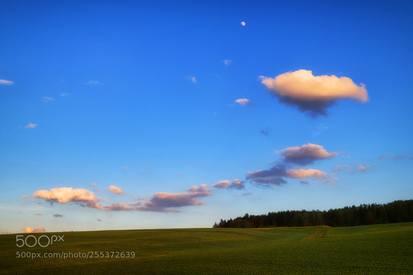 Canon EOS 200D (EOS Rebel SL2 / EOS Kiss X9) sample photo. Minimal landscape photography