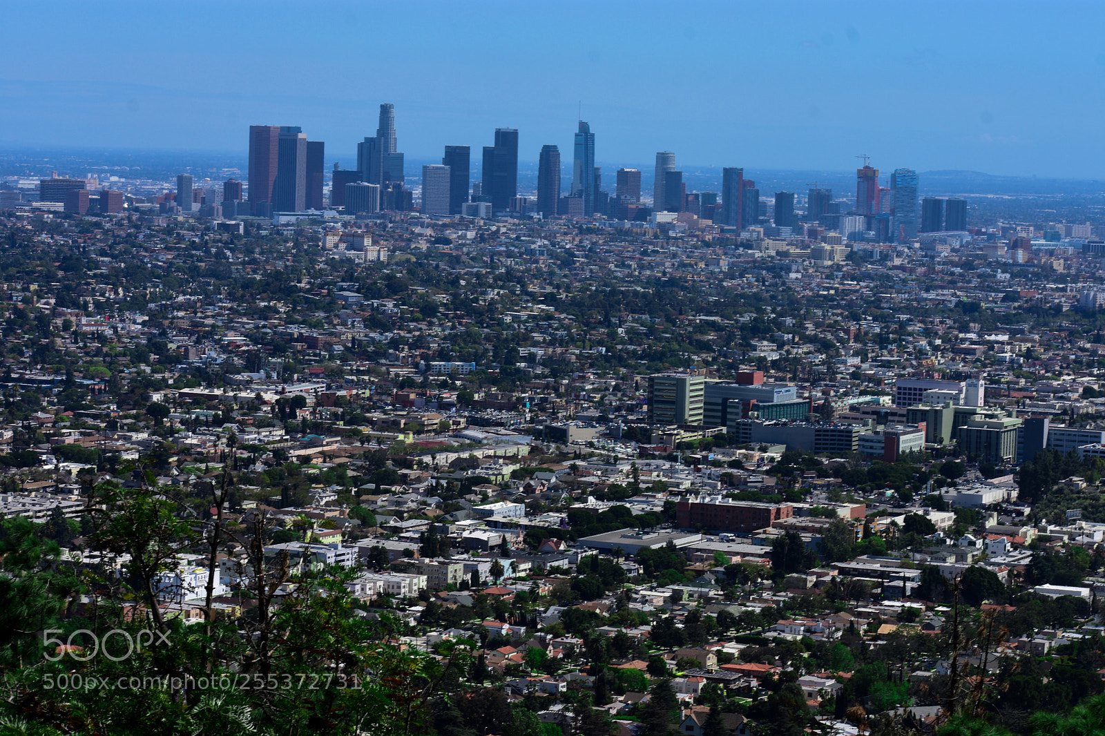 Nikon D3400 sample photo. Downtown los angeles photography