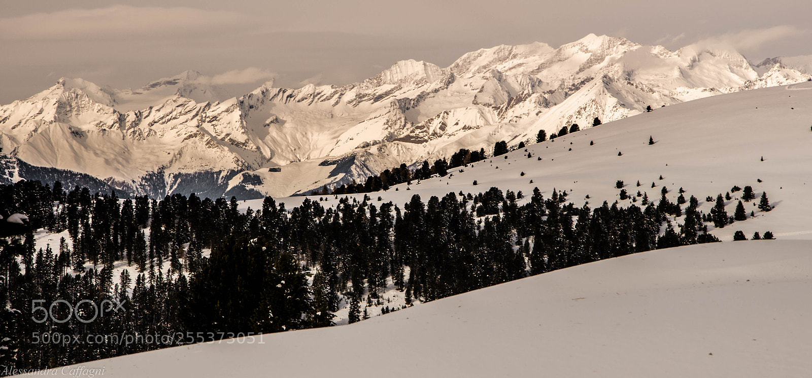 Nikon D5100 sample photo. ...da passo delle erbe... photography