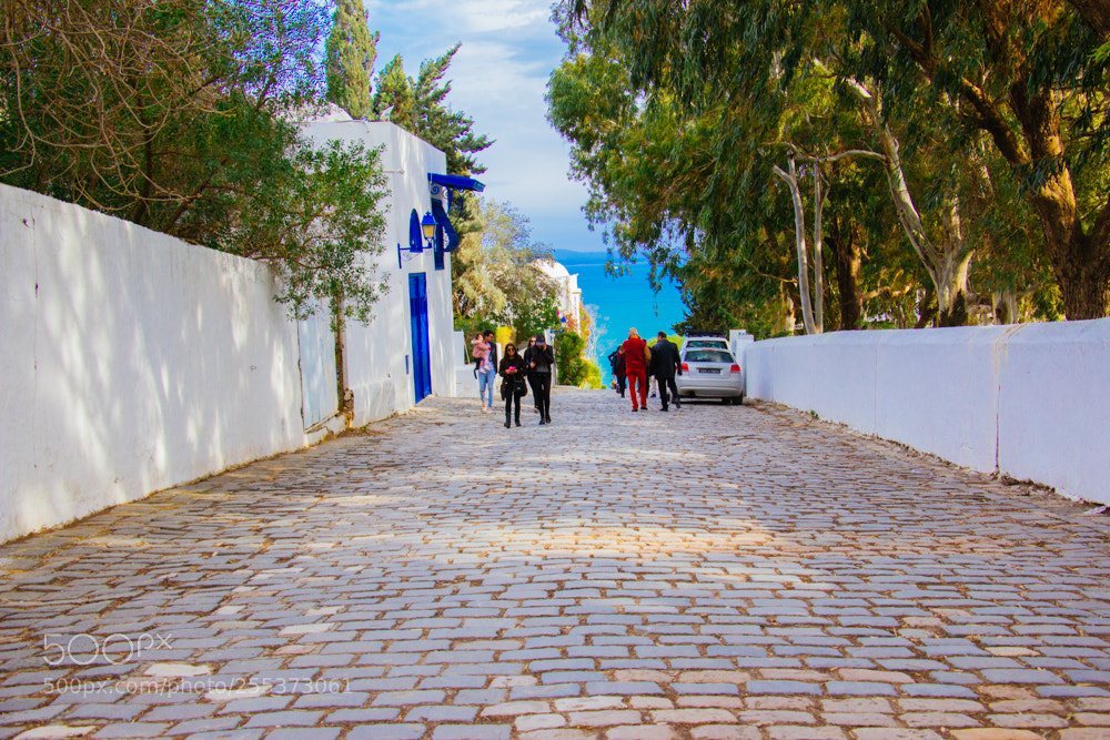 Canon EOS 70D sample photo. Sidi bousaid photography