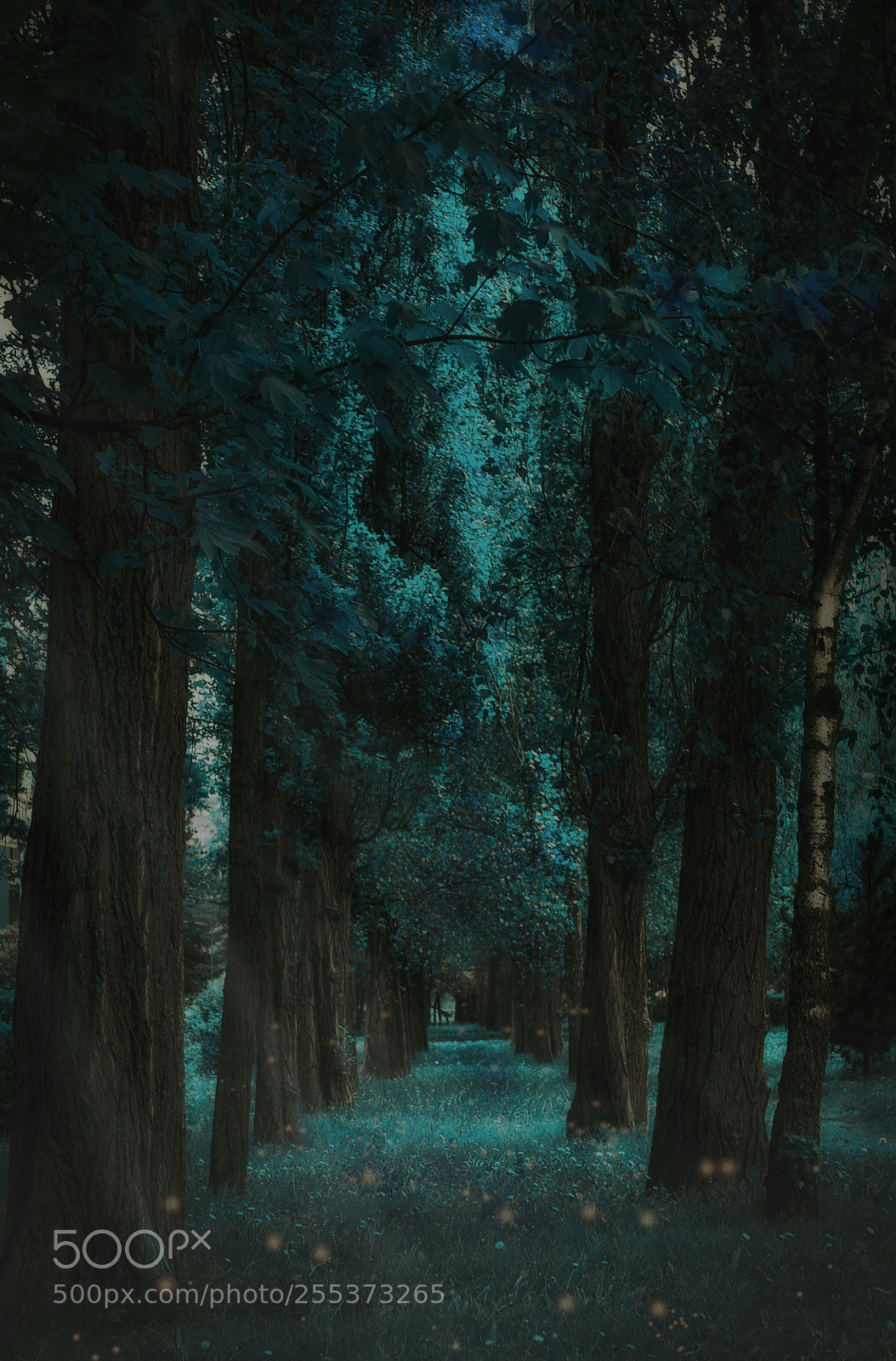 Nikon D7200 sample photo. Forest in the town photography