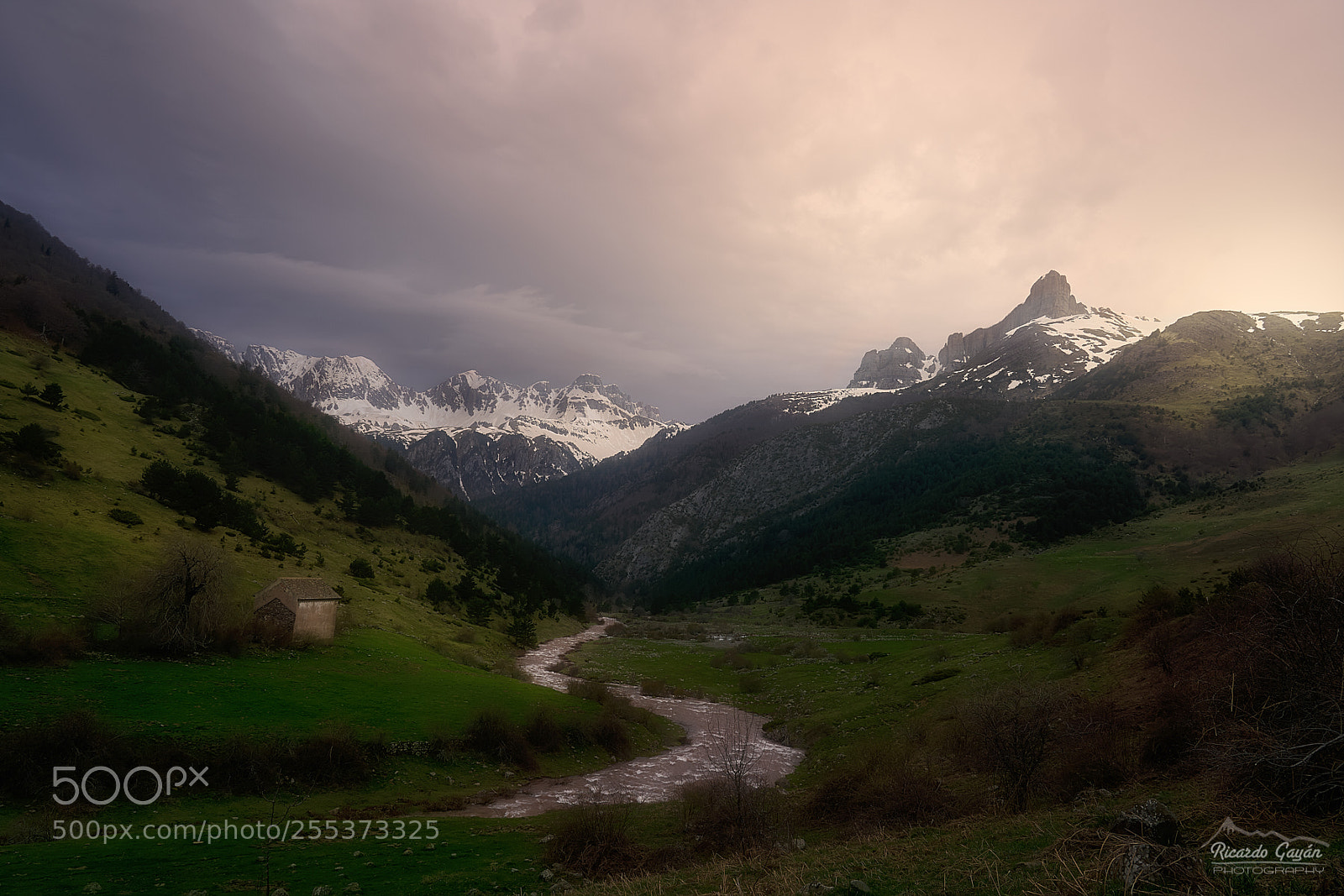 Sony a7R III sample photo. The valley photography
