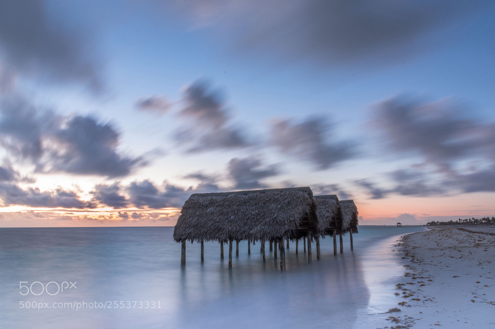 Nikon D7200 sample photo. Pink morning  photography