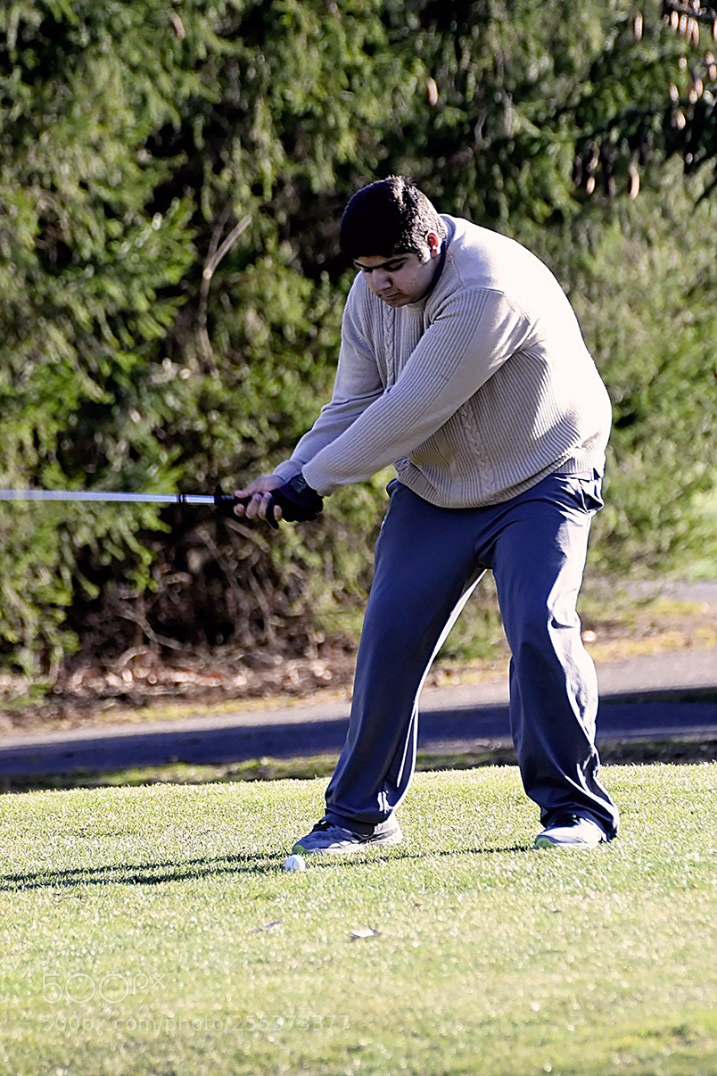 Nikon D500 sample photo. Dsc photography