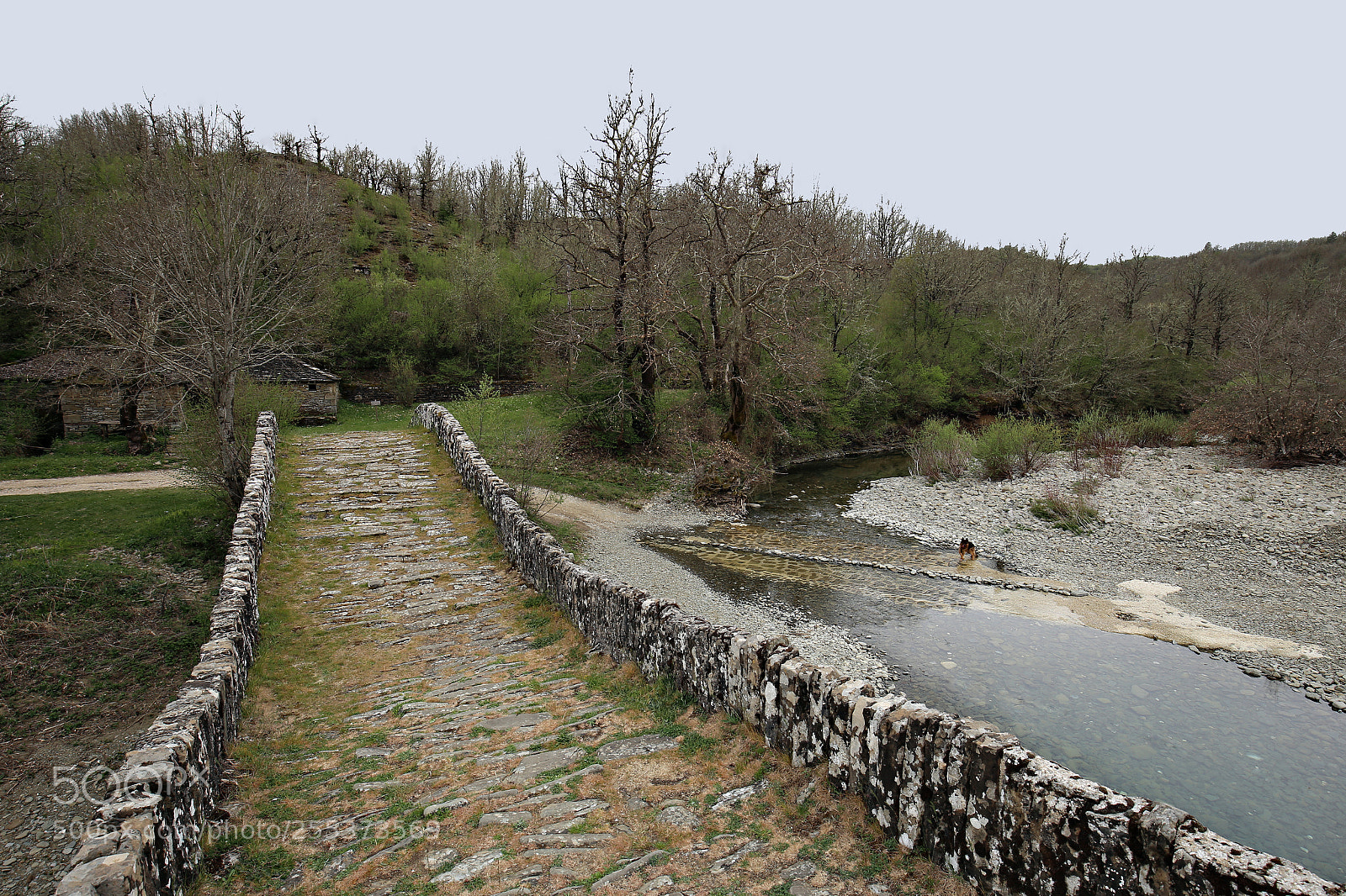 Canon EOS 6D sample photo. Next to the watermill photography