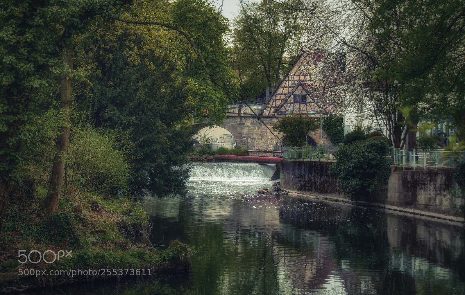 Nikon D7100 sample photo. The rivulet photography