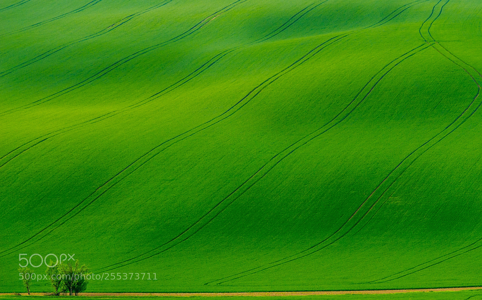 Canon EOS 6D sample photo. Moravian rolling fields photography