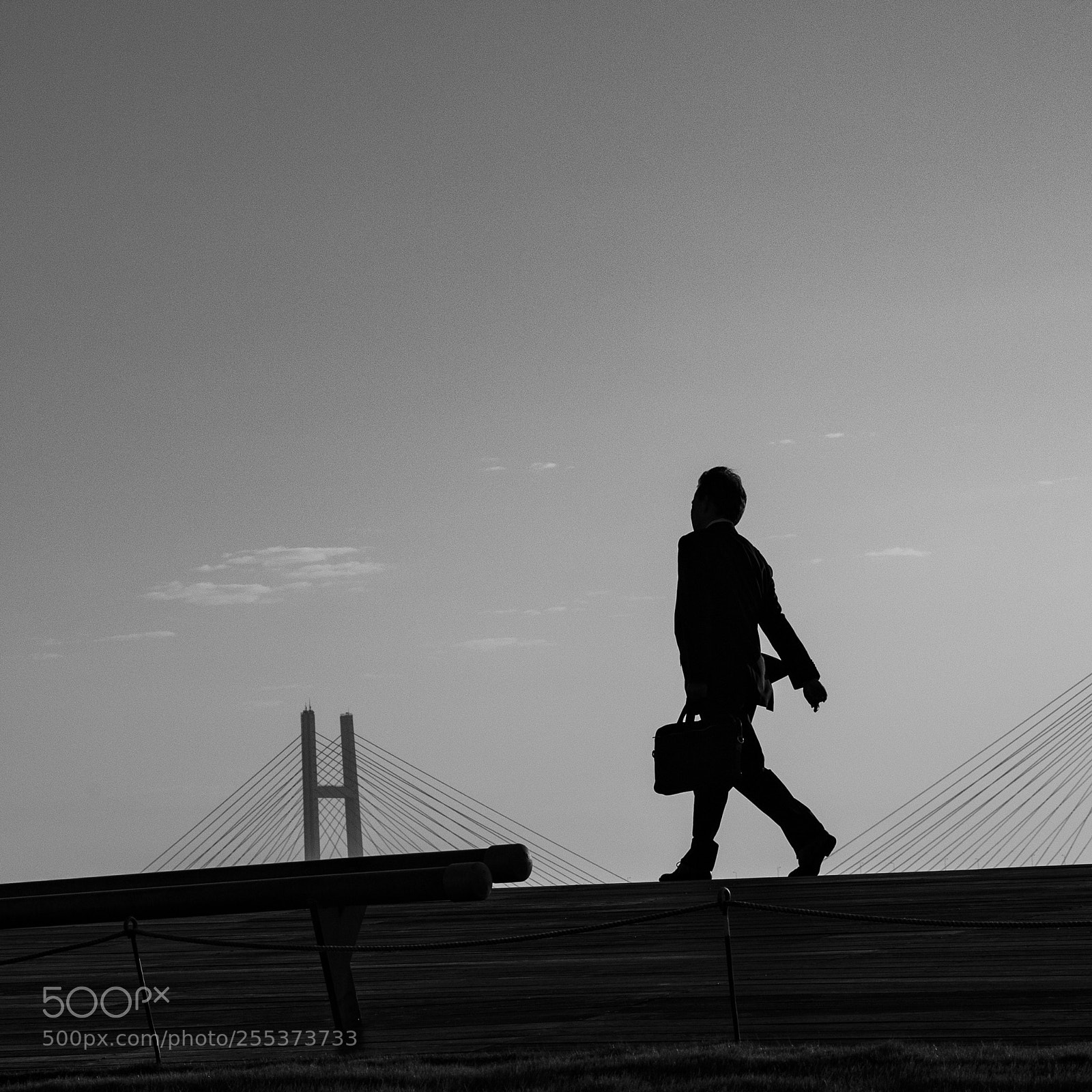 Canon EOS 6D sample photo. Morning walk photography