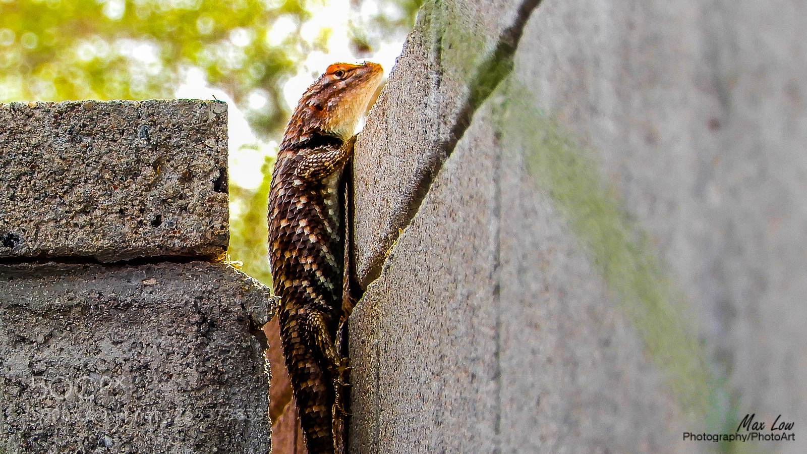 Nikon Coolpix A900 sample photo. Wall hanger photography