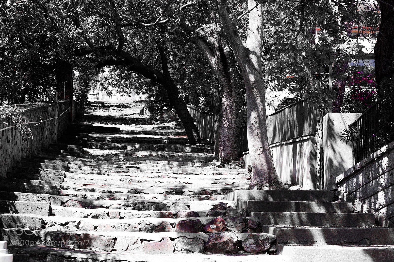 Nikon D7100 sample photo. A r a r photography