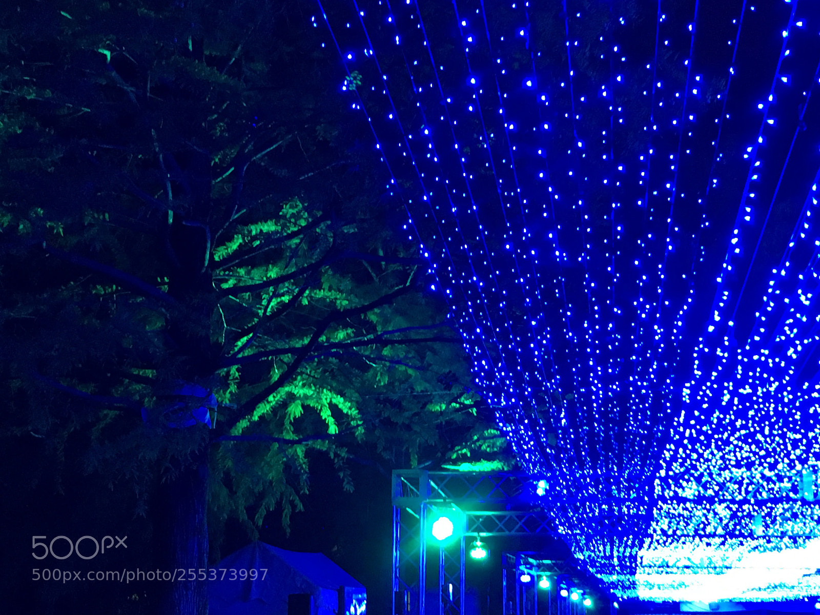 Apple iPhone 6s sample photo. Blue lighting up photography