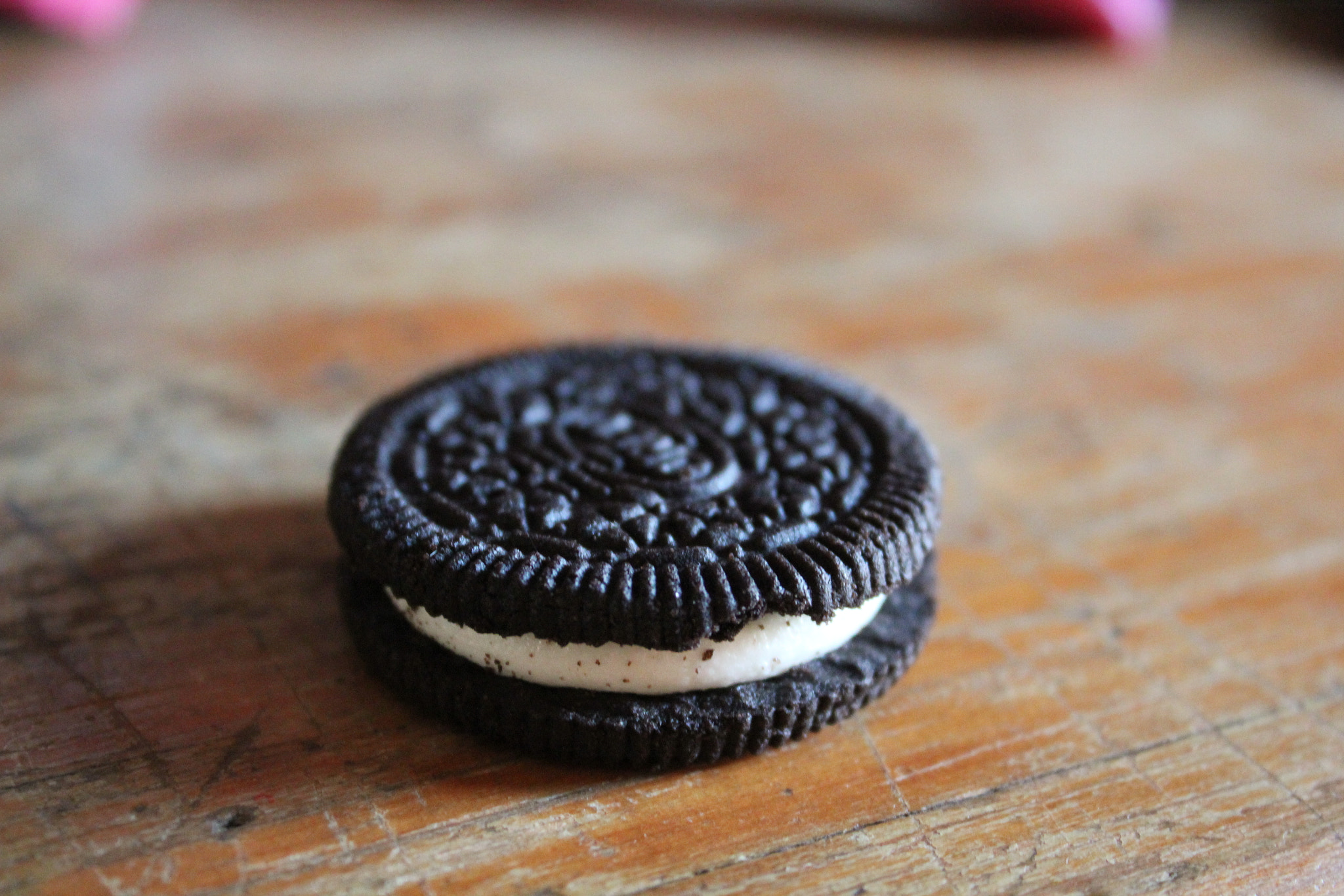 Canon EOS 550D (EOS Rebel T2i / EOS Kiss X4) sample photo. Oreo's photography