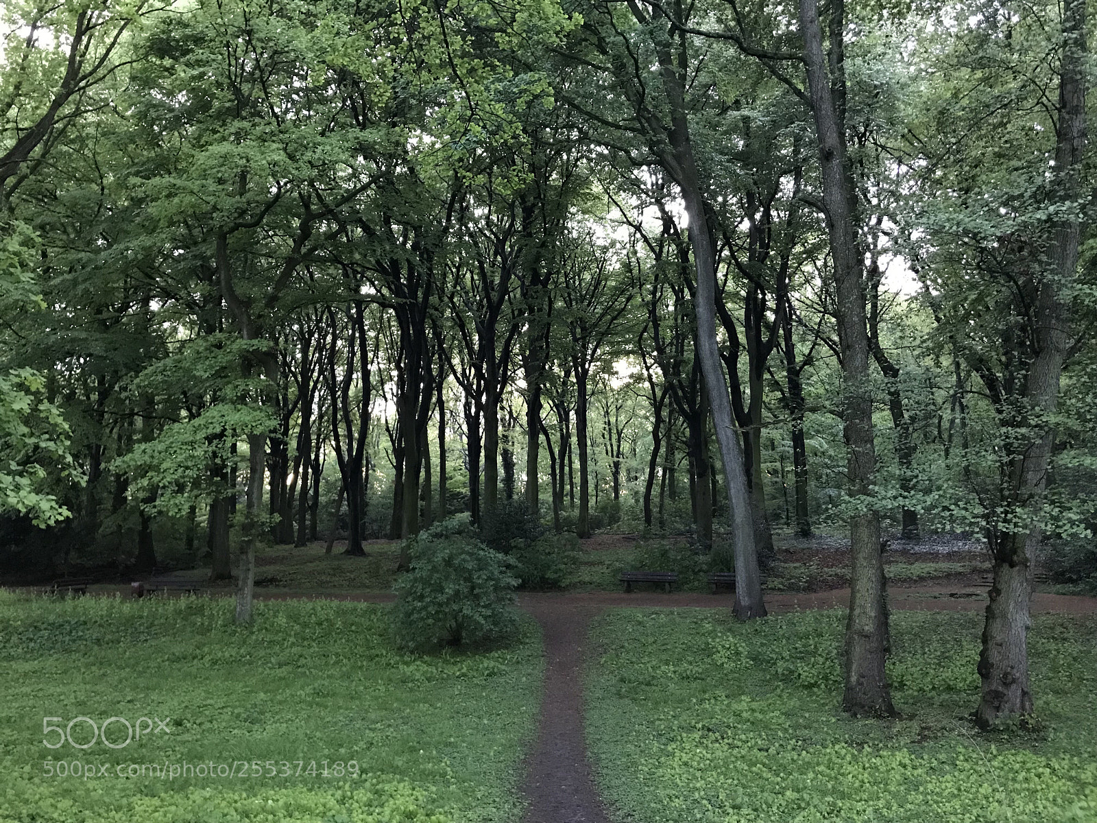 Apple iPhone 7 sample photo. Untitled photography