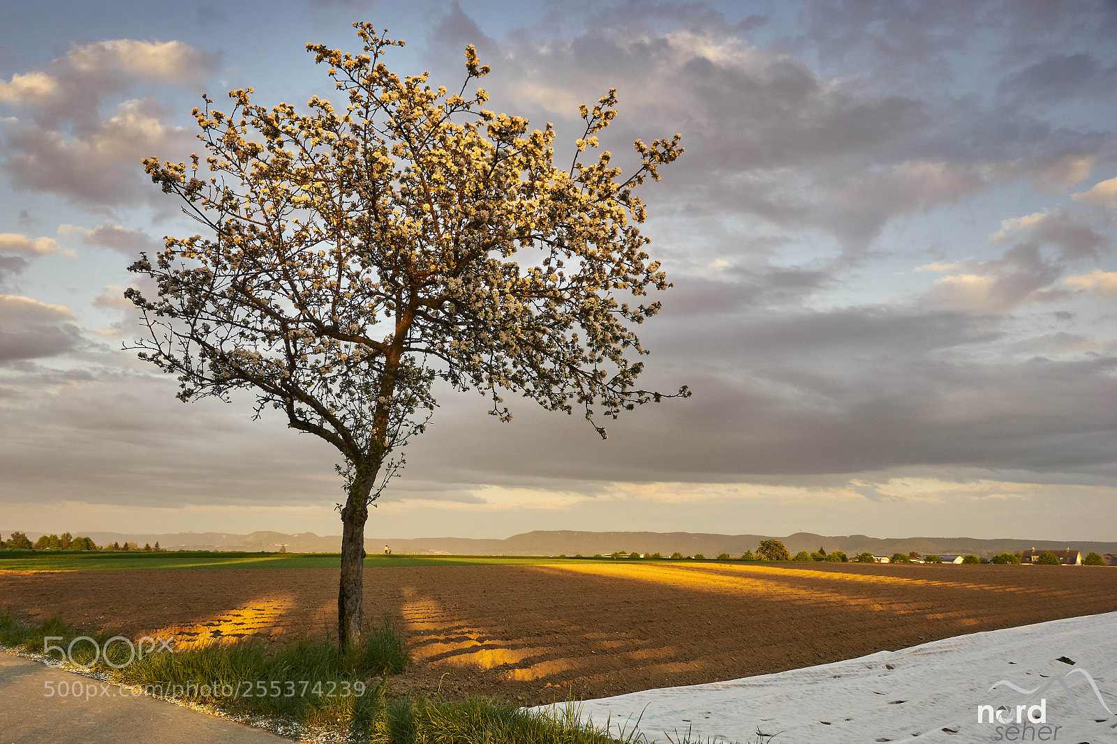 Sony ILCA-77M2 sample photo. Pliezhausen ist so cool! photography
