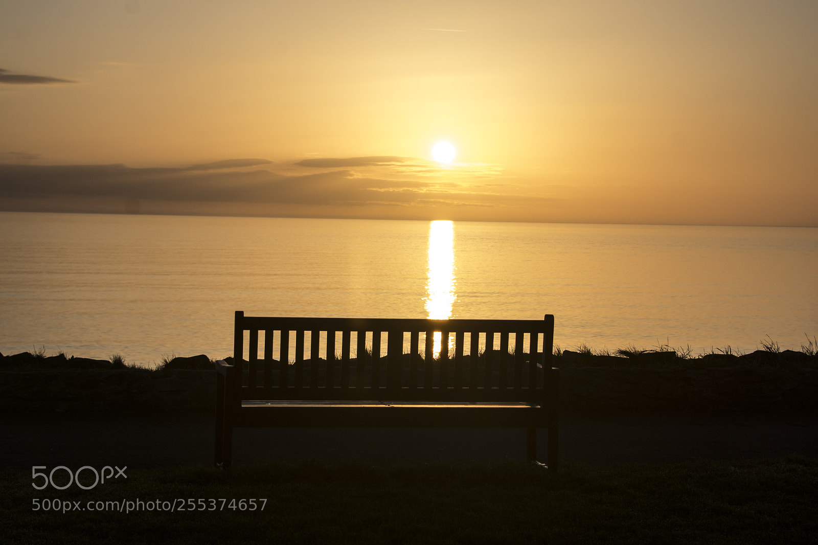 Nikon D7100 sample photo. Jpg photography