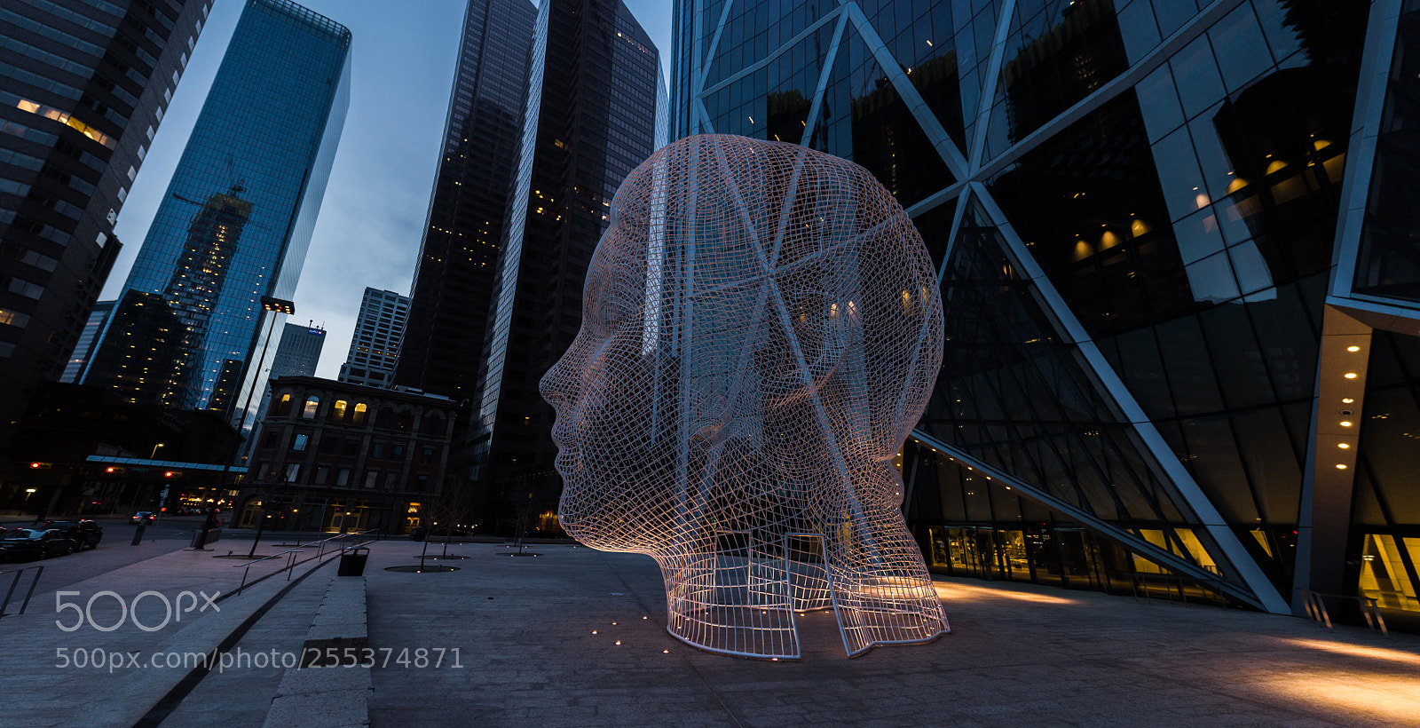 Nikon D810 sample photo. Head photography