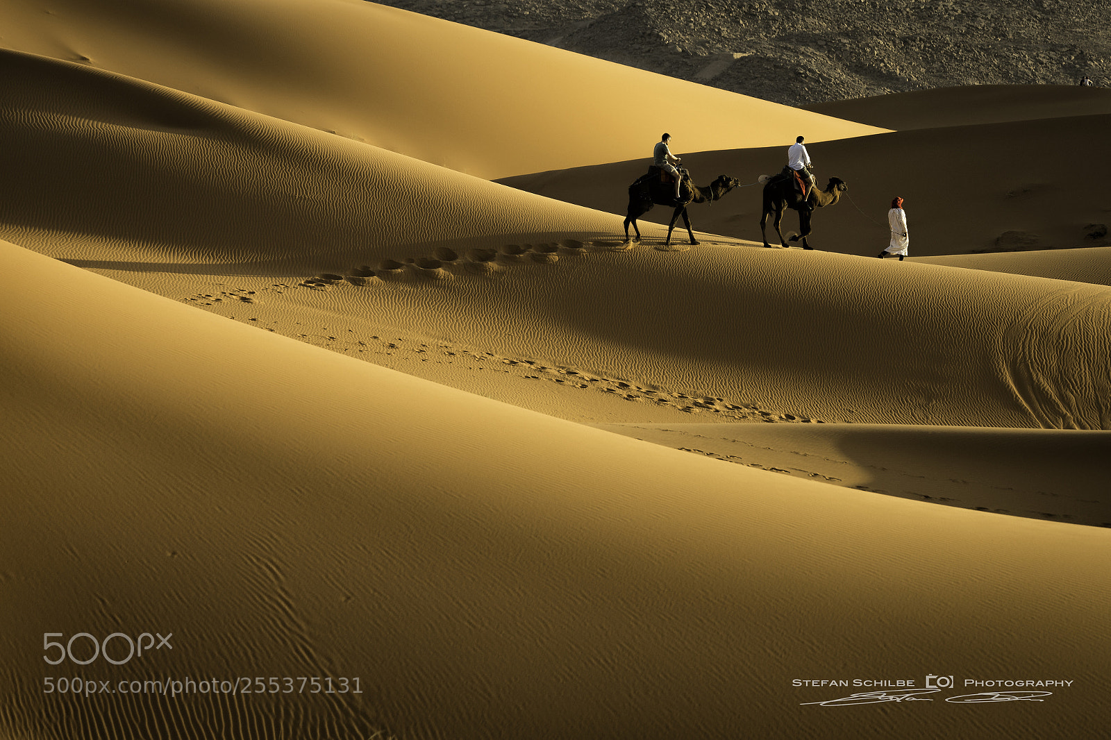 Canon EOS 5D Mark IV sample photo. Desert views guiding through photography