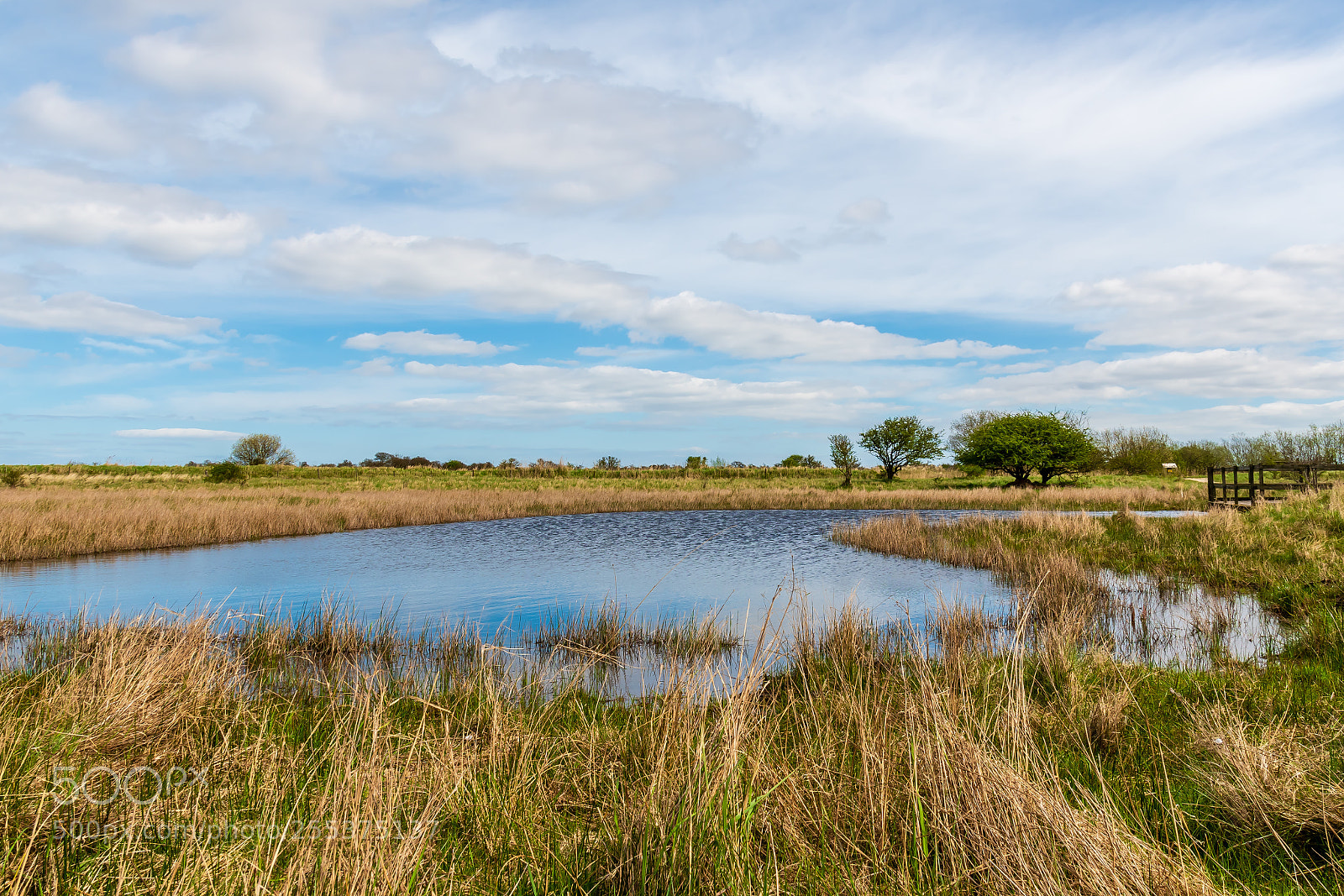 Nikon D500 sample photo. Donna nook photography