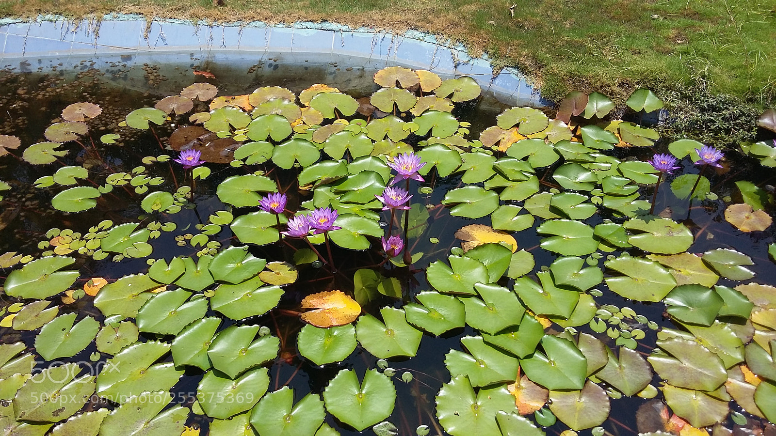 Samsung Galaxy Grand Prime sample photo. Untitled photography