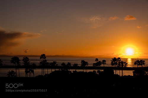 Canon EOS 77D (EOS 9000D / EOS 770D) sample photo. Corona del mar px photography